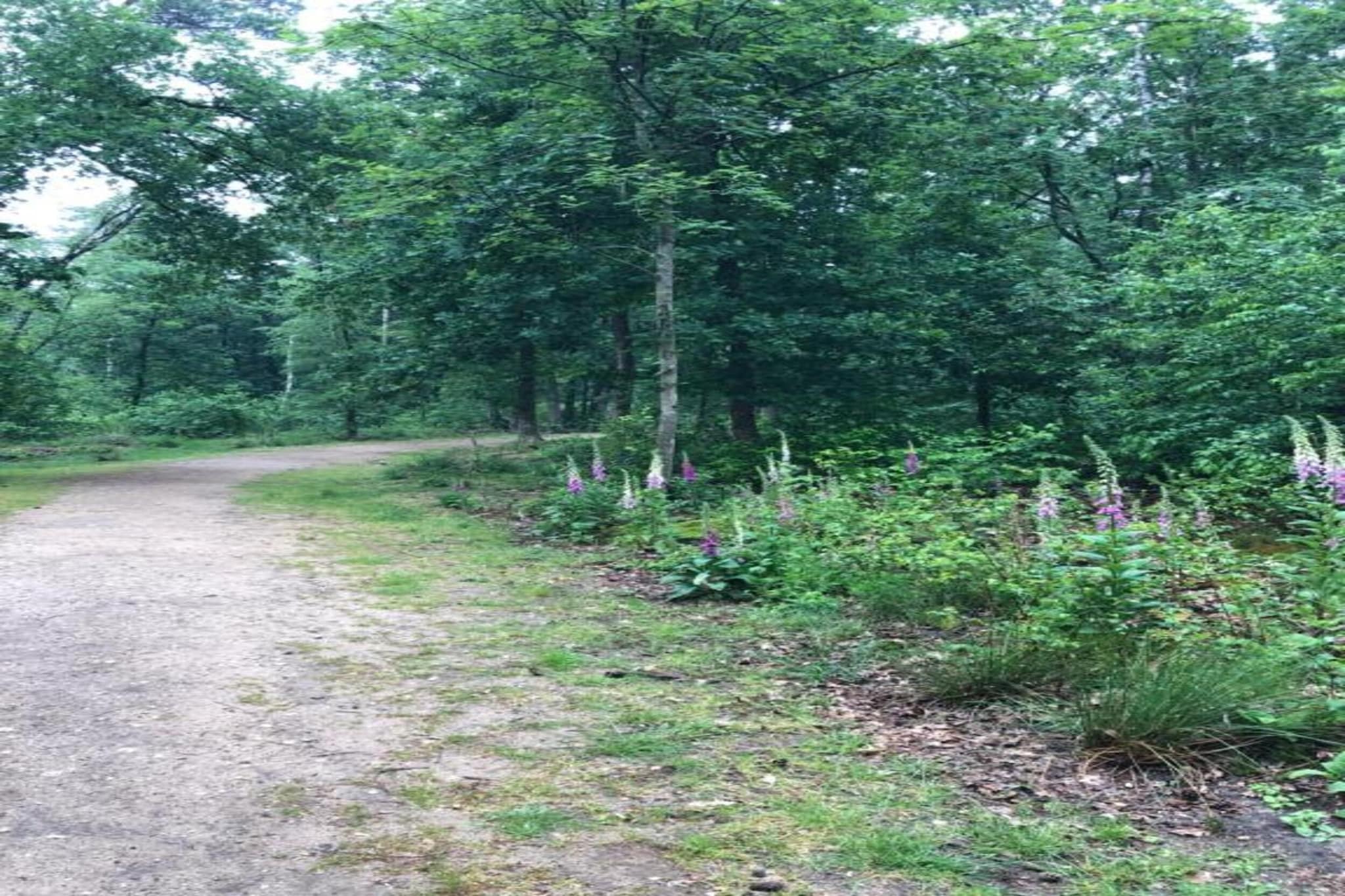 Bungalowpark Hoenderloo 3-Gebiete Sommer 20 km
