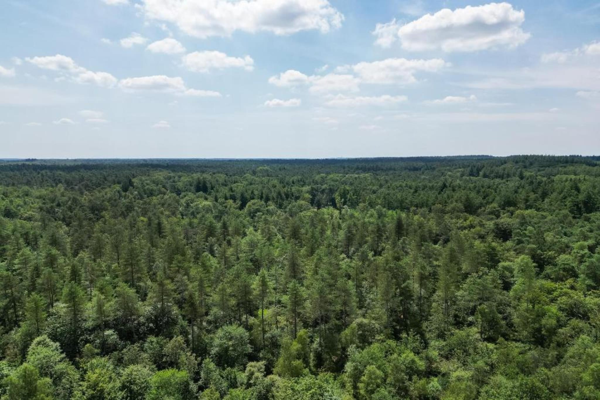 Bungalowpark Hoenderloo 3-Gebiete Sommer 20 km