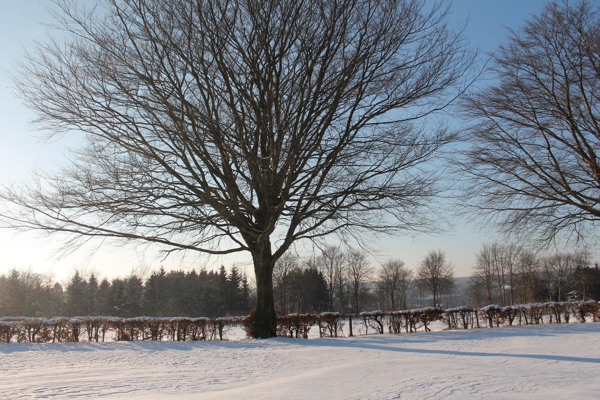 Area Winter5 K M