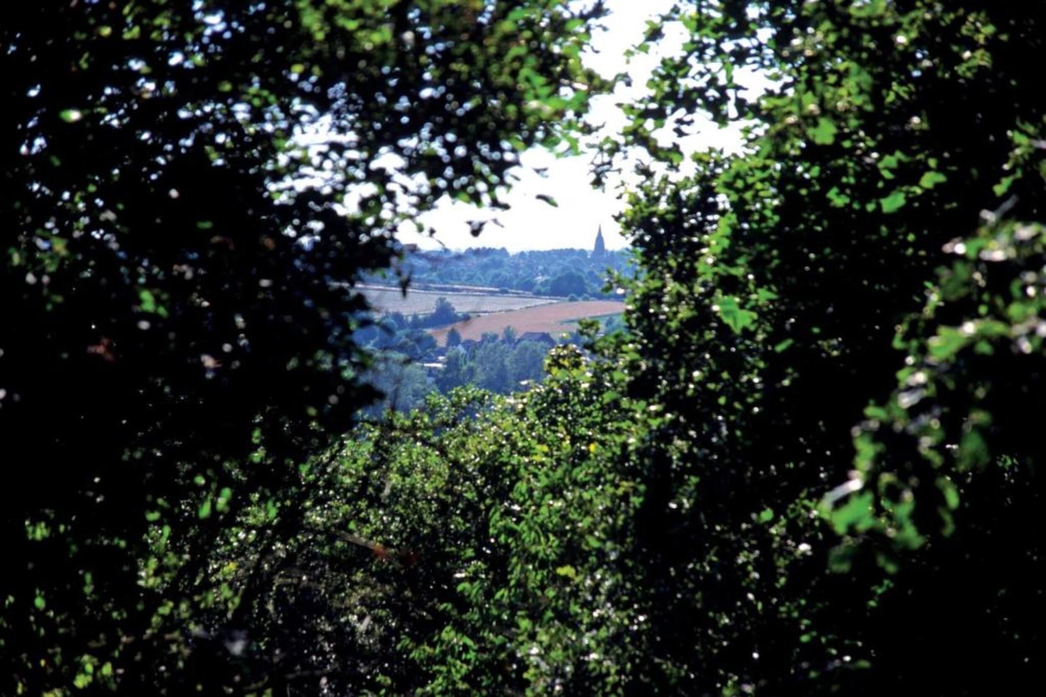 Resort Arcen 12-Gebieden zomer 20km