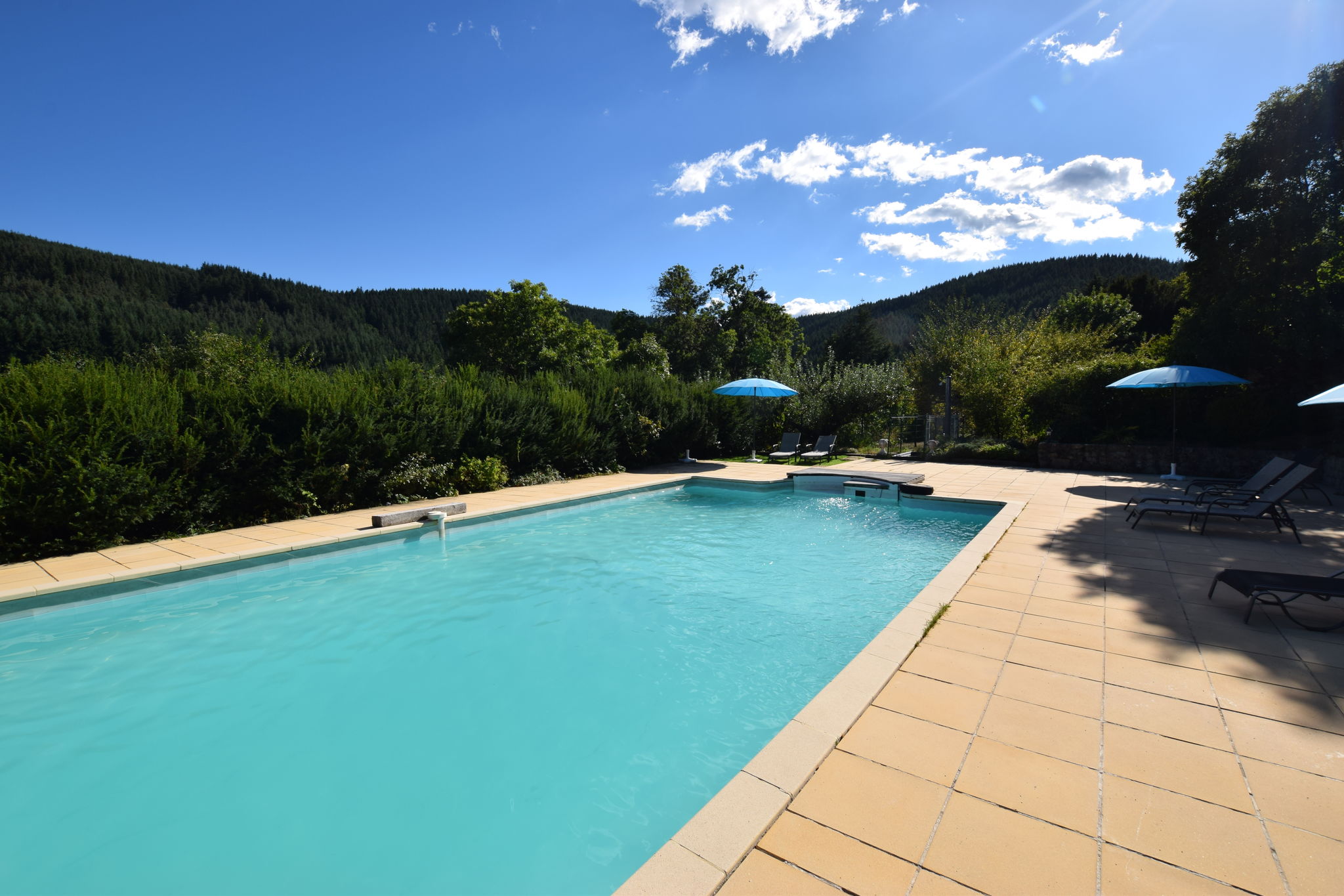 Former coach house in a castle with park garden, large swimming pool in Ardeche