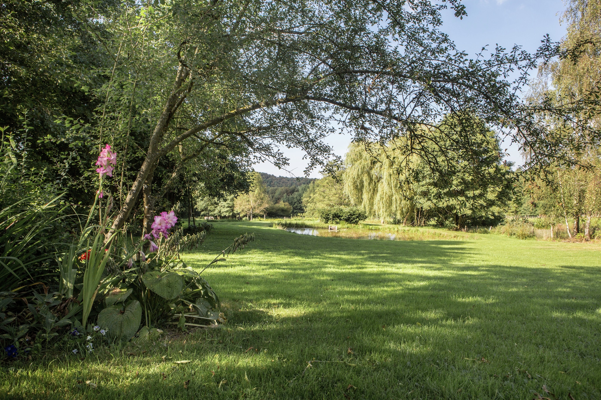 Vakantiehuis Erezée max. 8 personen 3 slaapkamers #16