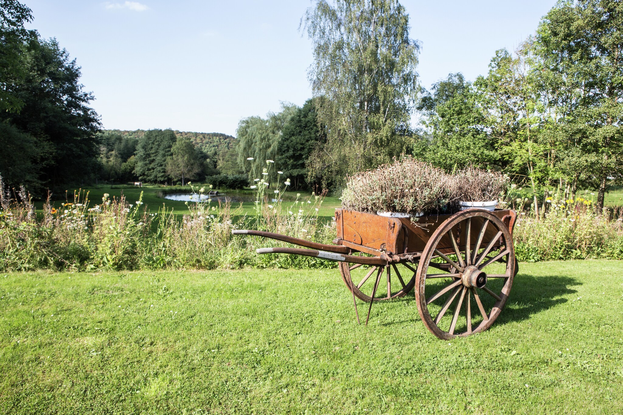 Vakantiehuis Erezée max. 8 personen 3 slaapkamers #18