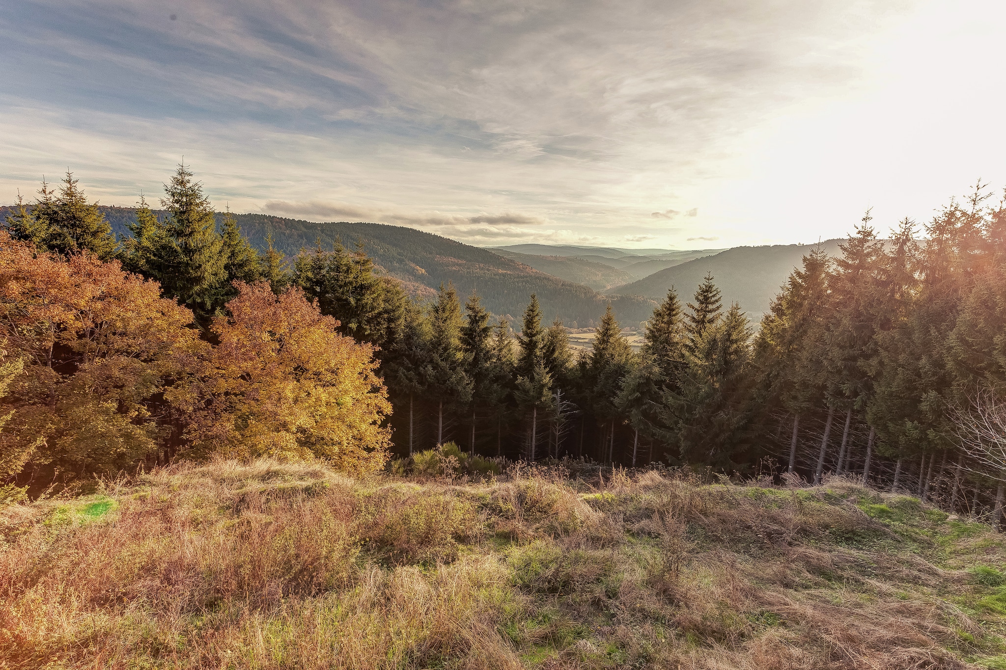 Maison de vacance - Cros-de-Géorand-Aussicht Sommer