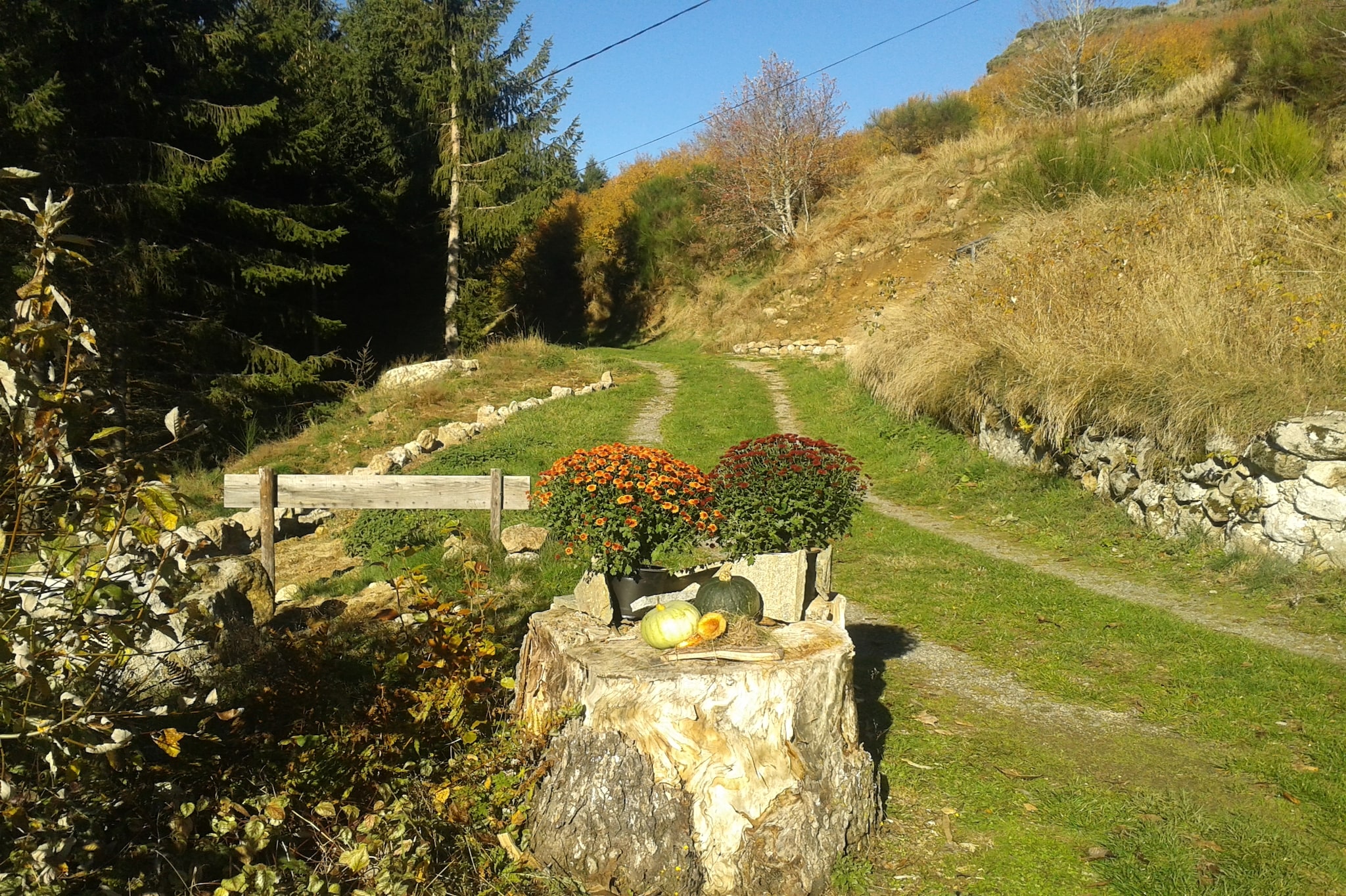 Maison de vacance - Cros-de-Géorand-Aussicht Sommer