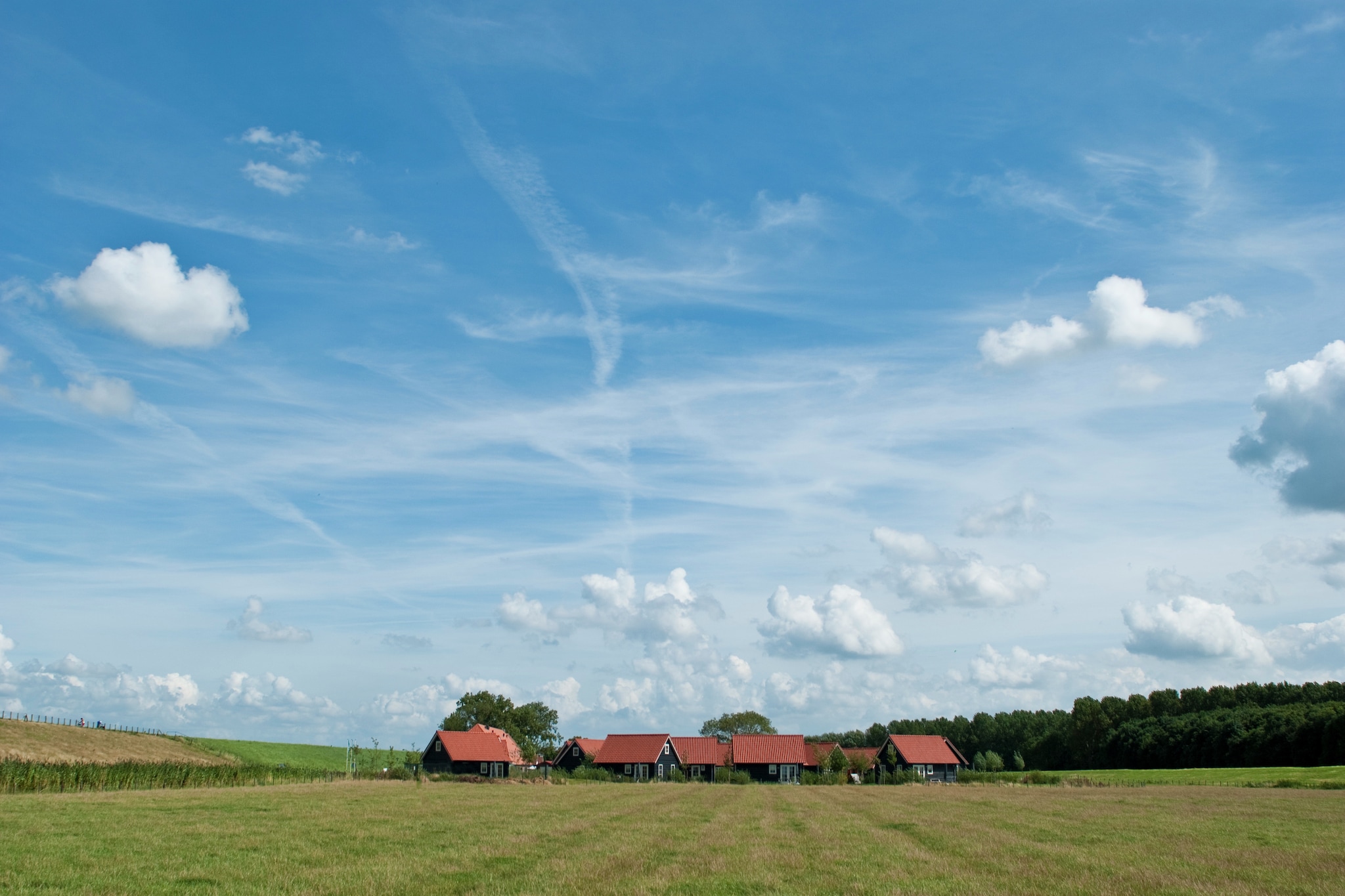 Recreatiepark de Stelhoeve 3-Gebieden zomer 1km