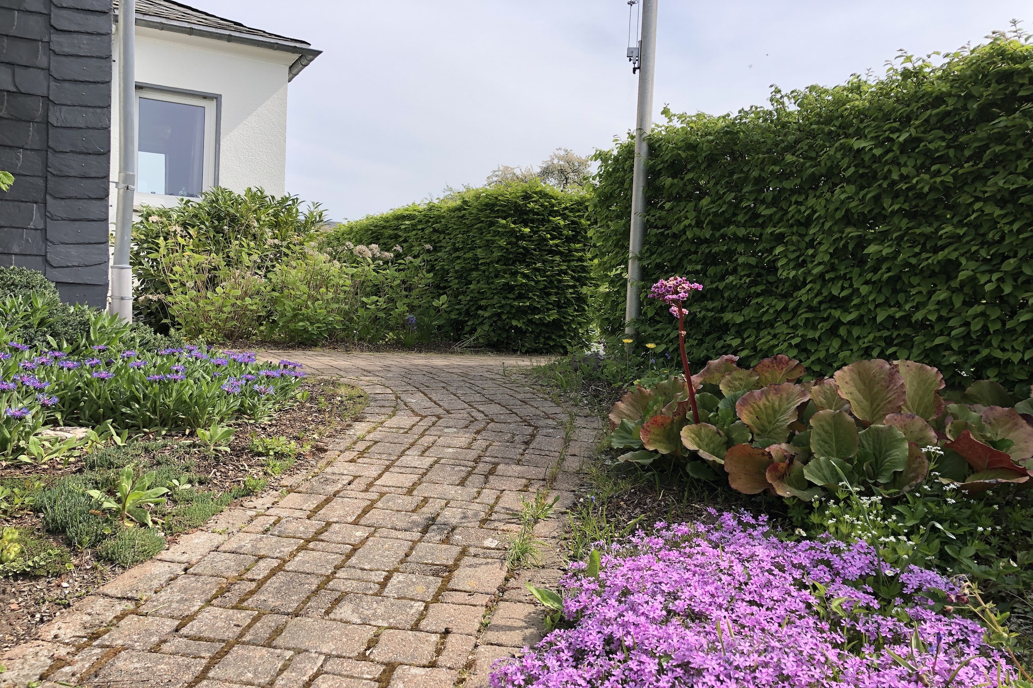 Luxuriöses Ferienhaus in Waldnähe in Winterberg