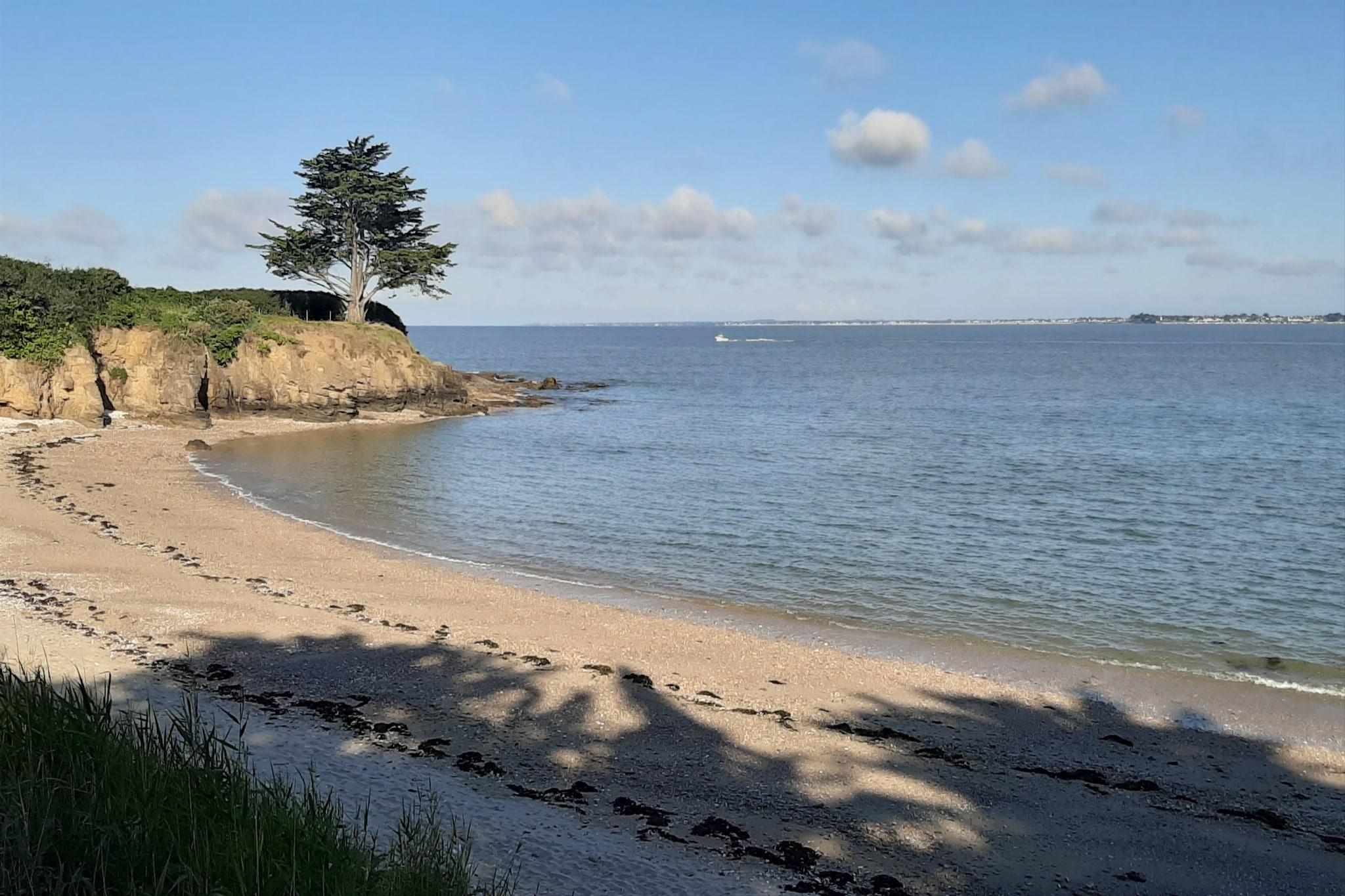 Plein Sud-Gebieden zomer 5km