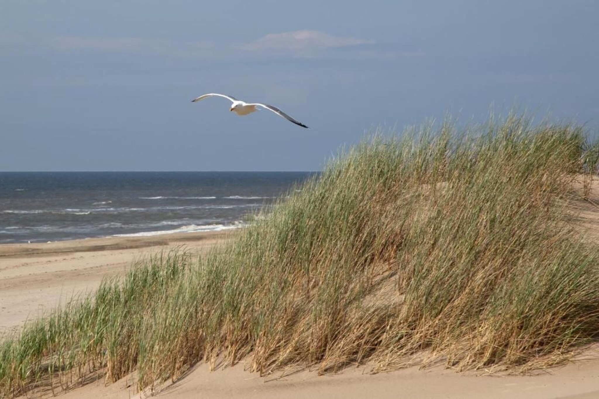 Beaudune-Gebieden zomer 20km
