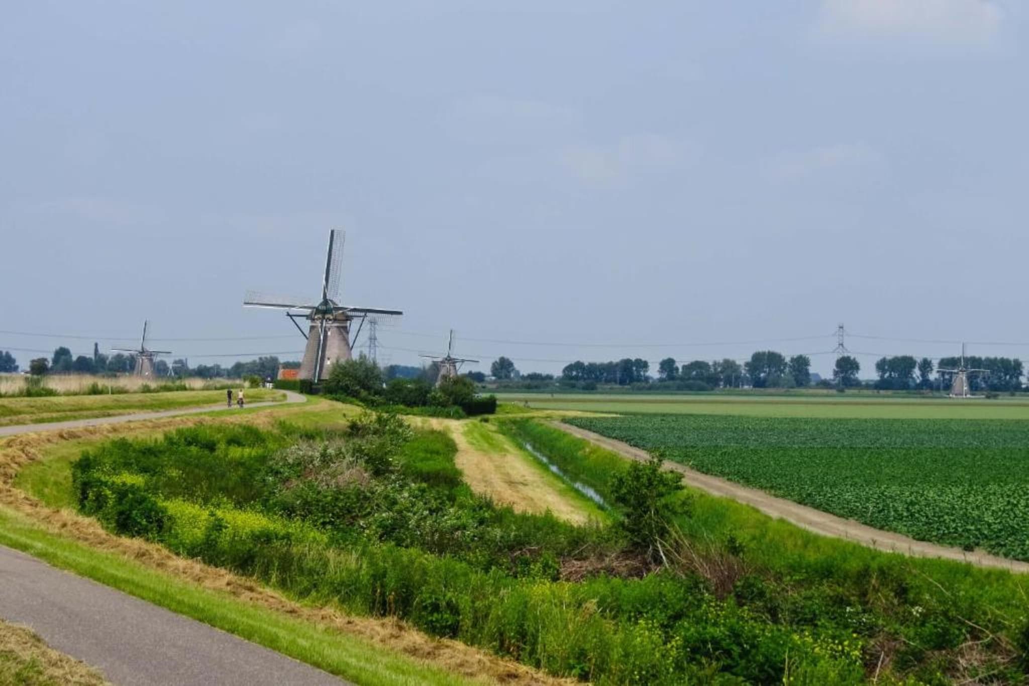 Harrekidee-Gebieden zomer 20km