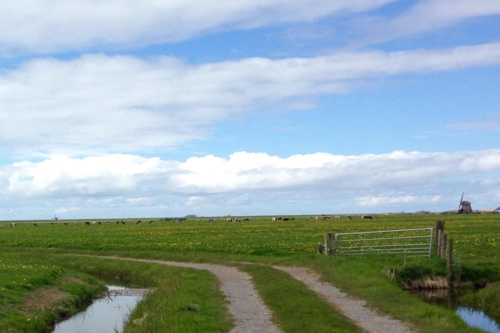 Vier Duinen-Gebieden zomer 20km
