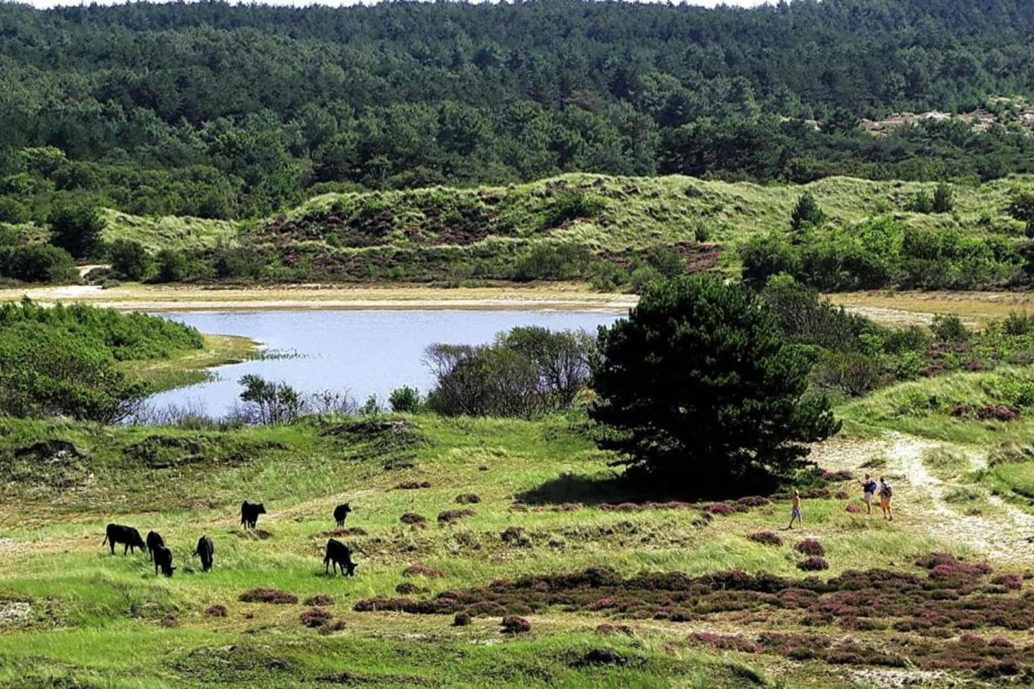 Vier Duinen-Gebieden zomer 20km