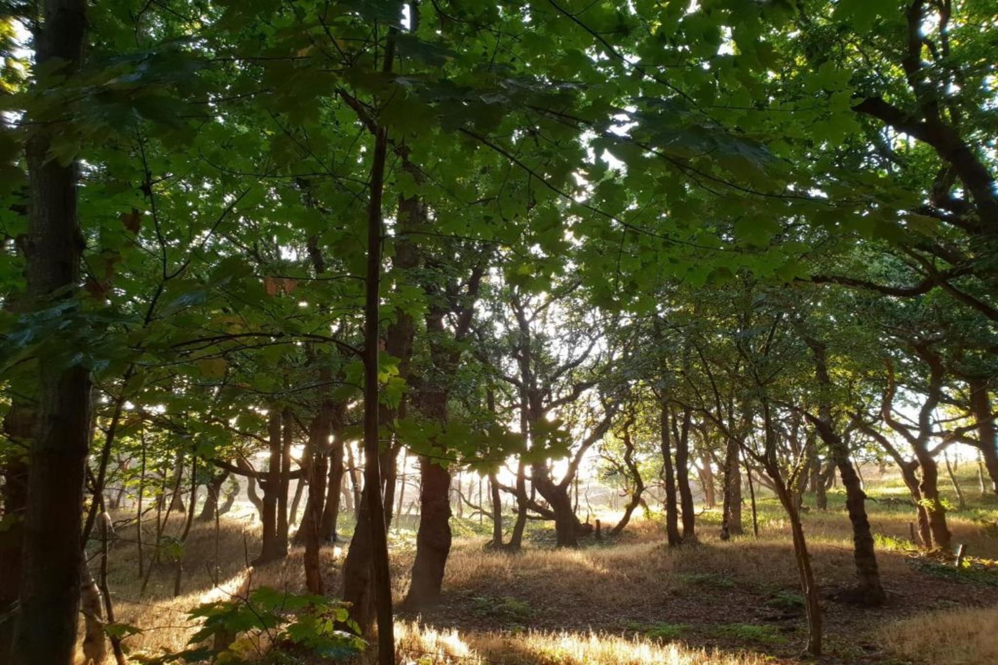 Twee Duinen-Gebieden zomer 20km