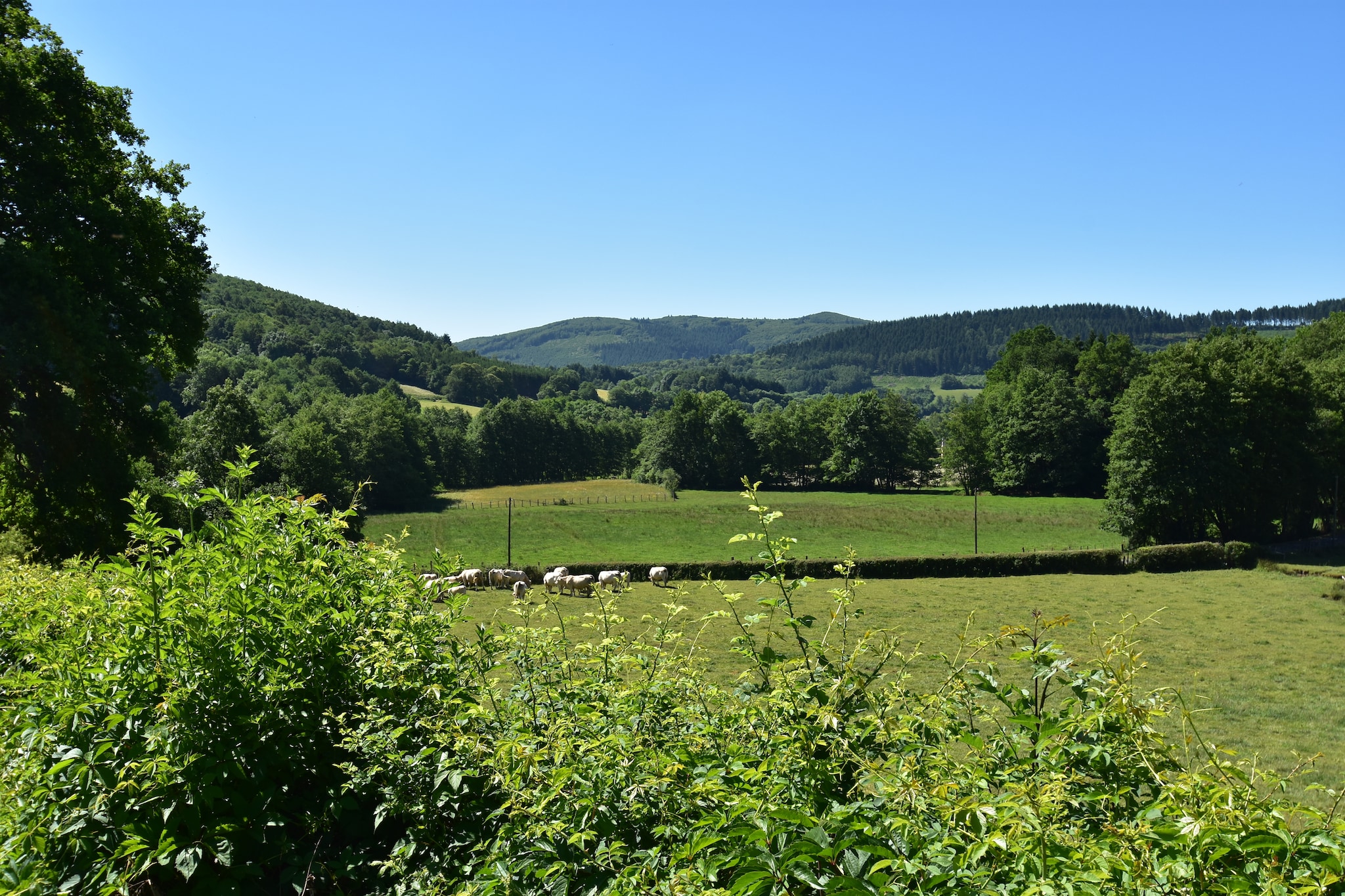Area Summer20 K M