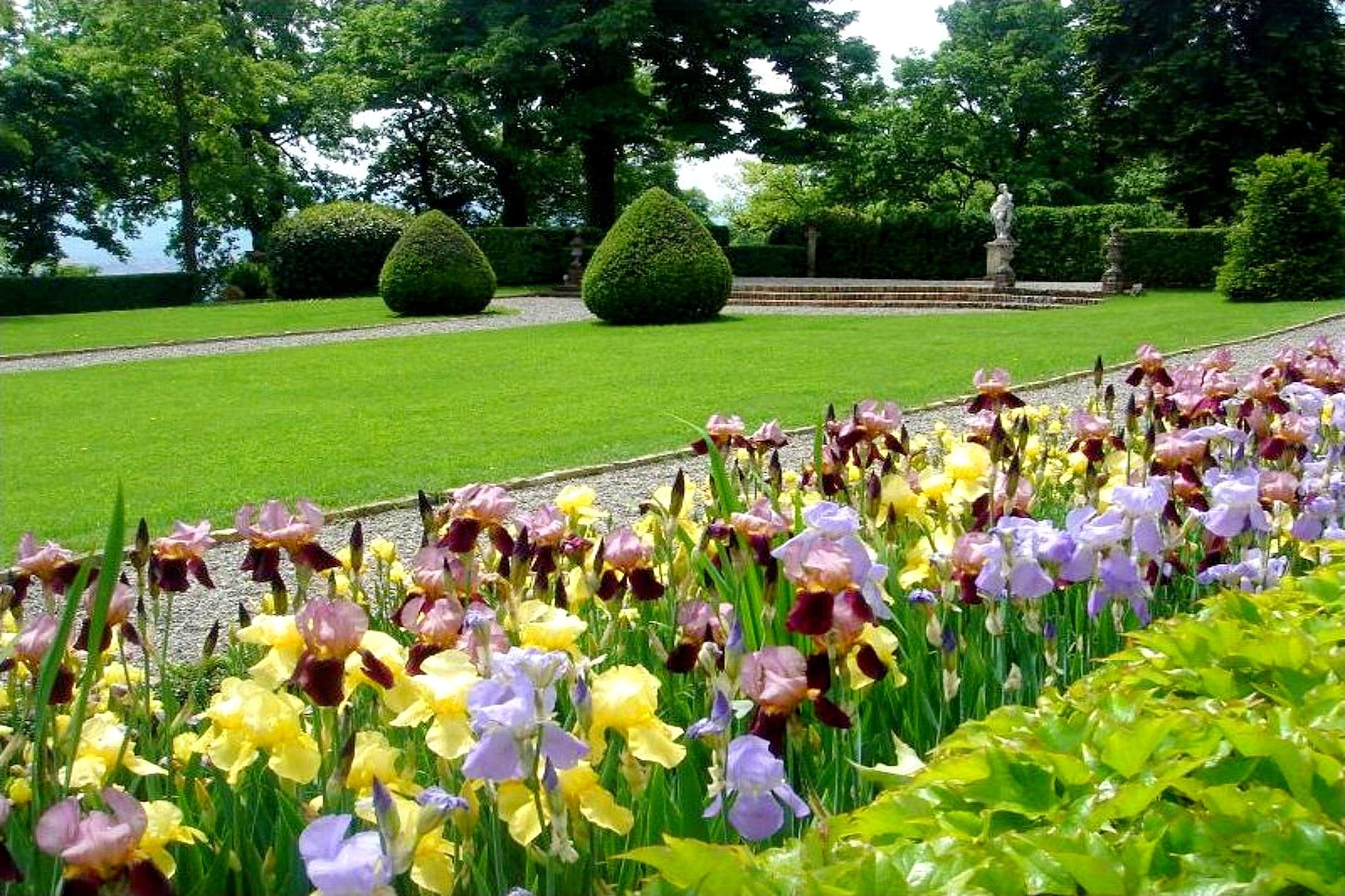 Garden Summer