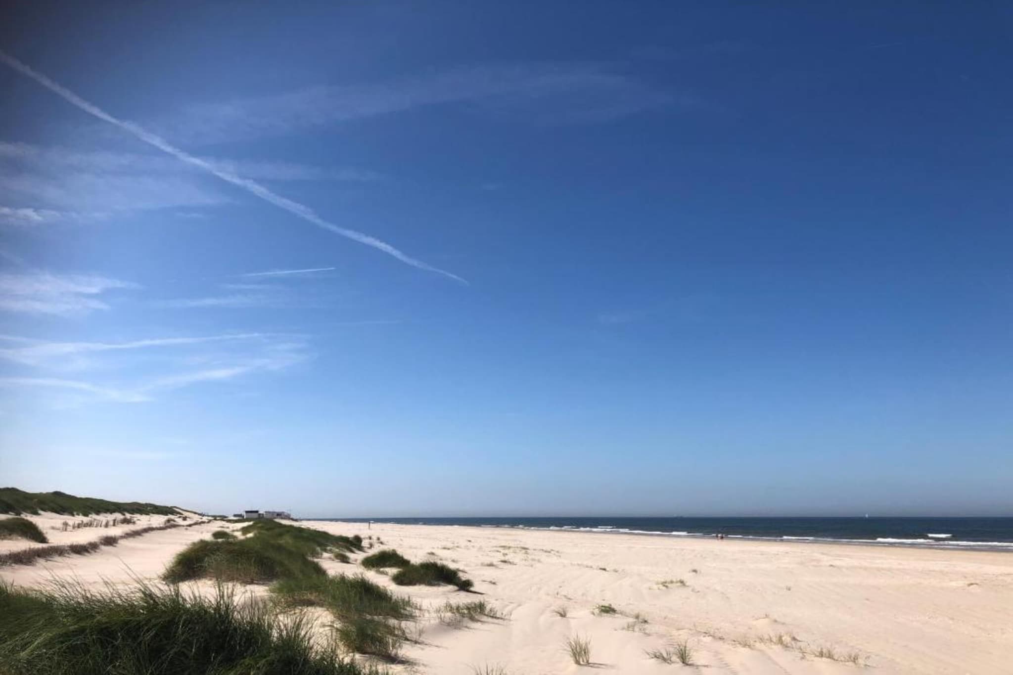 Boshof-Gebieden zomer 20km