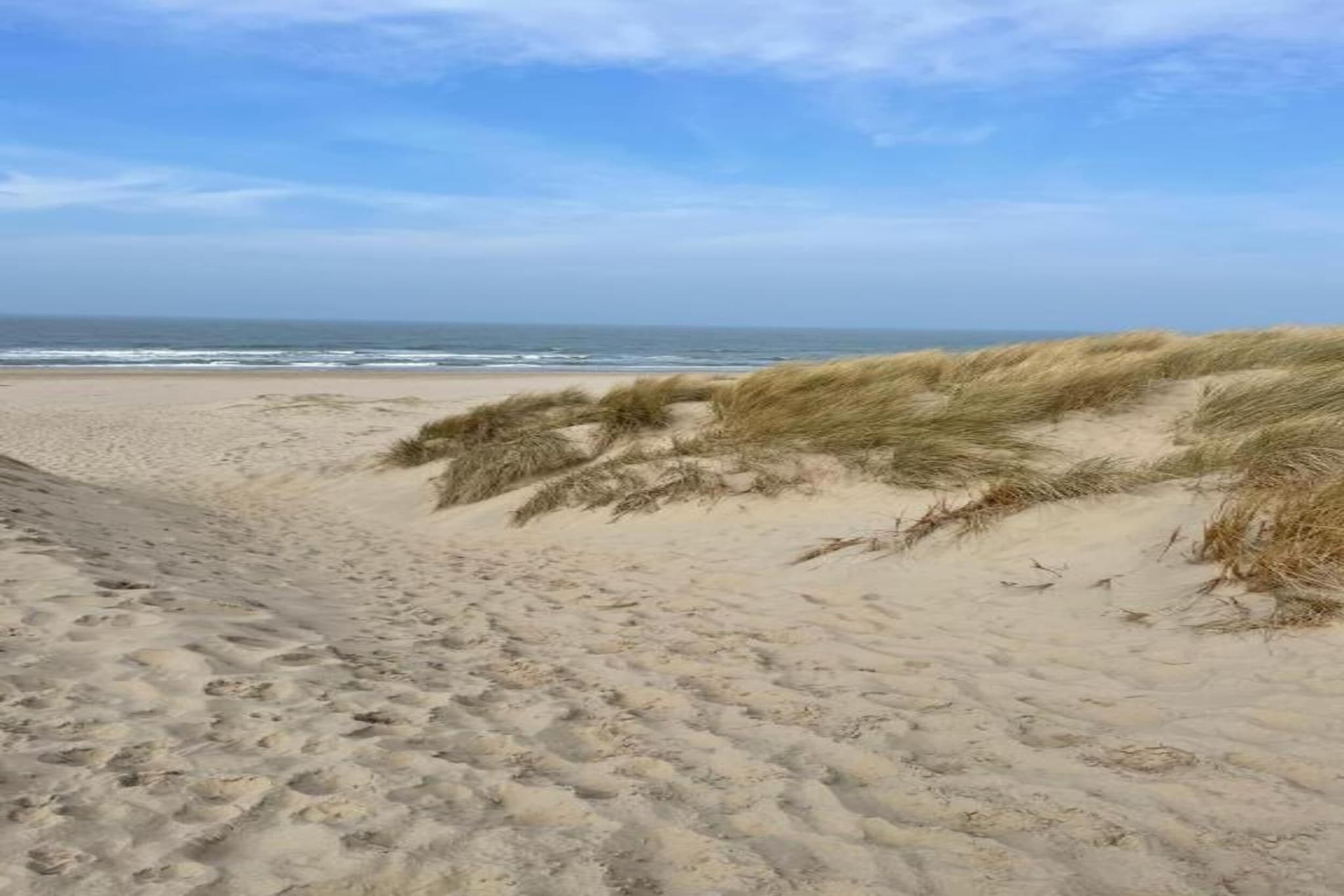 Boshof-Gebieden zomer 20km