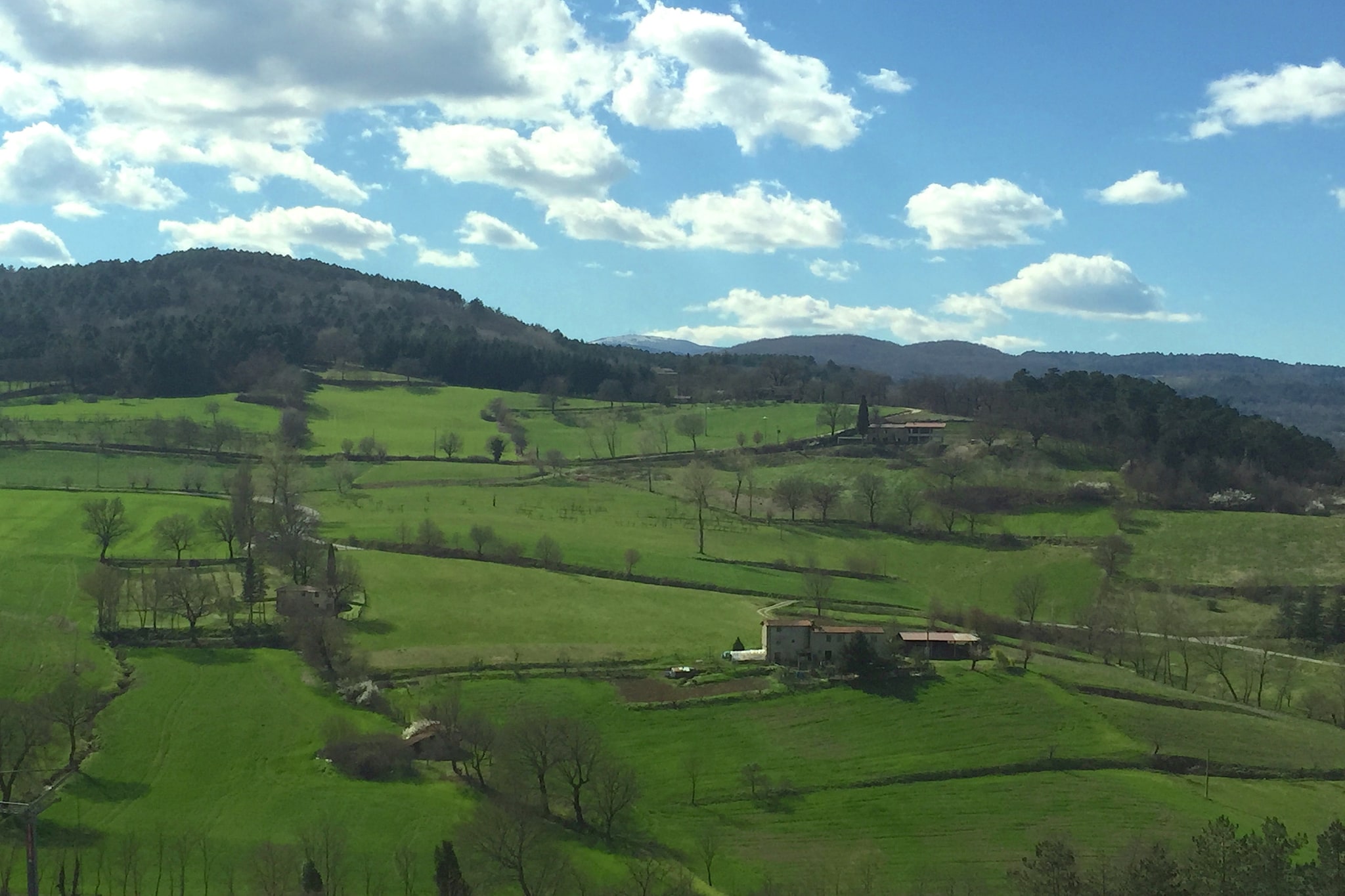 Il Cipresso-Areas summer 1km