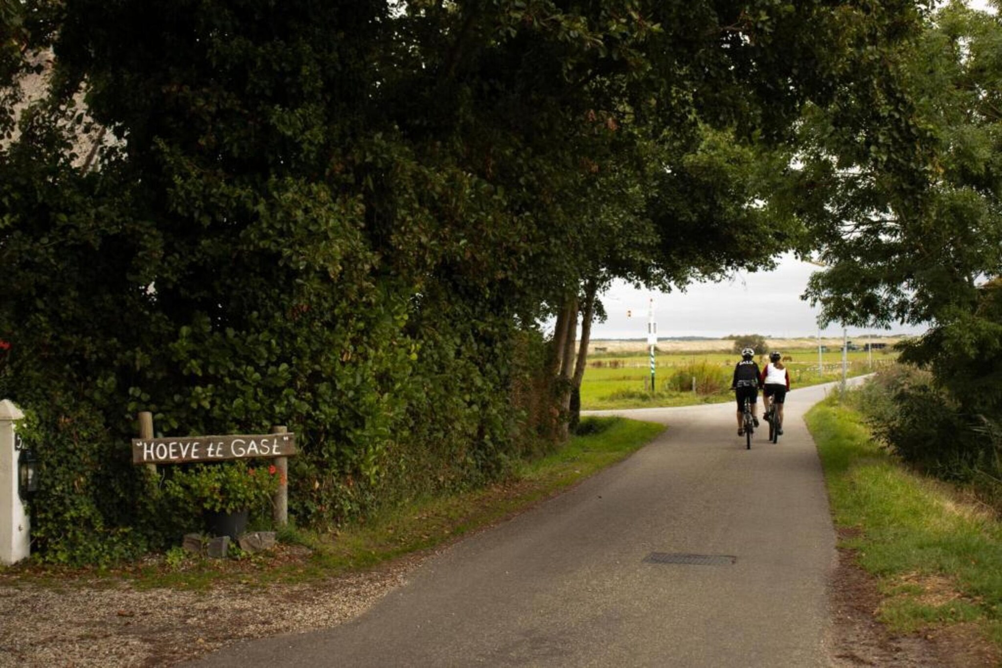 Fancy-Gebieden zomer 20km