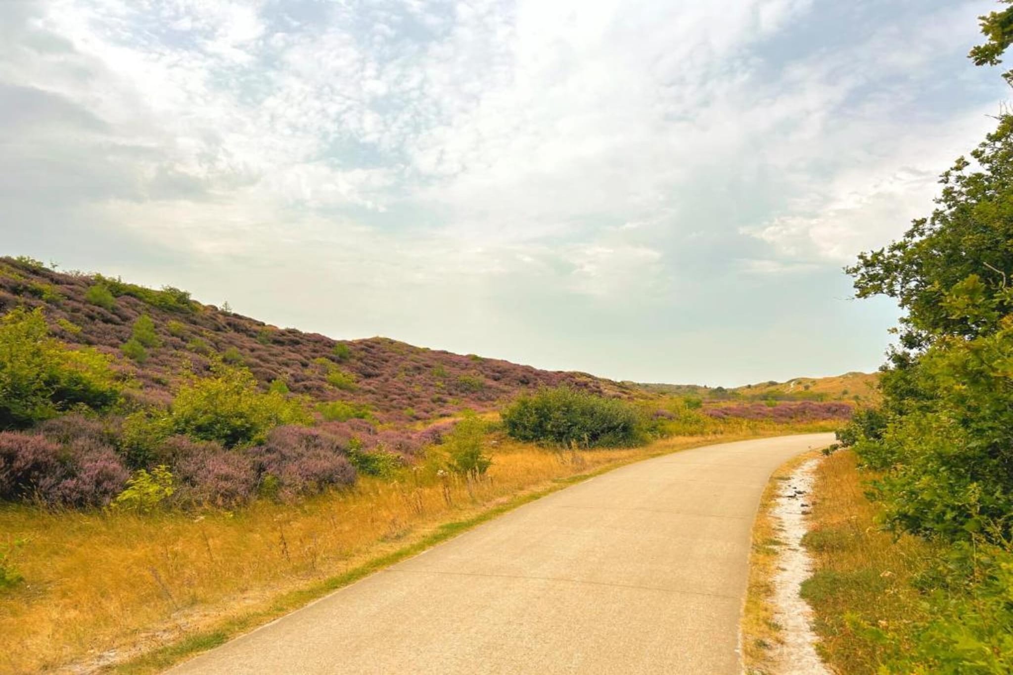 Fancy-Gebieden zomer 20km