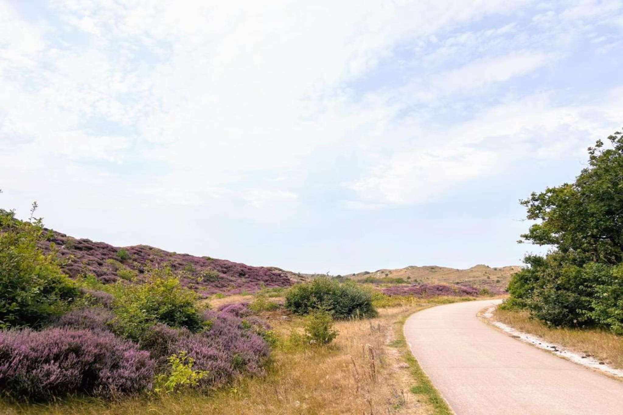 Fancy-Gebieden zomer 20km