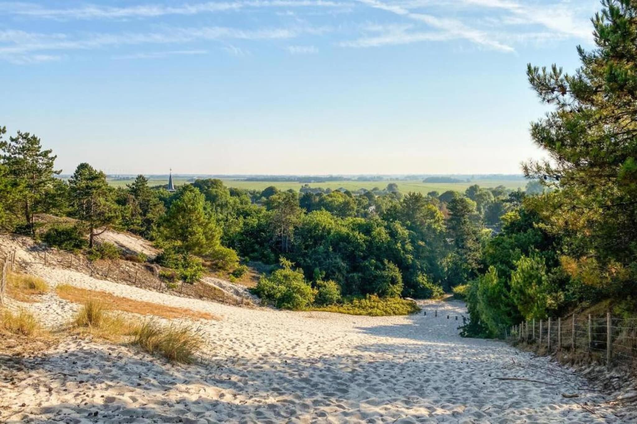 Fancy-Gebieden zomer 20km