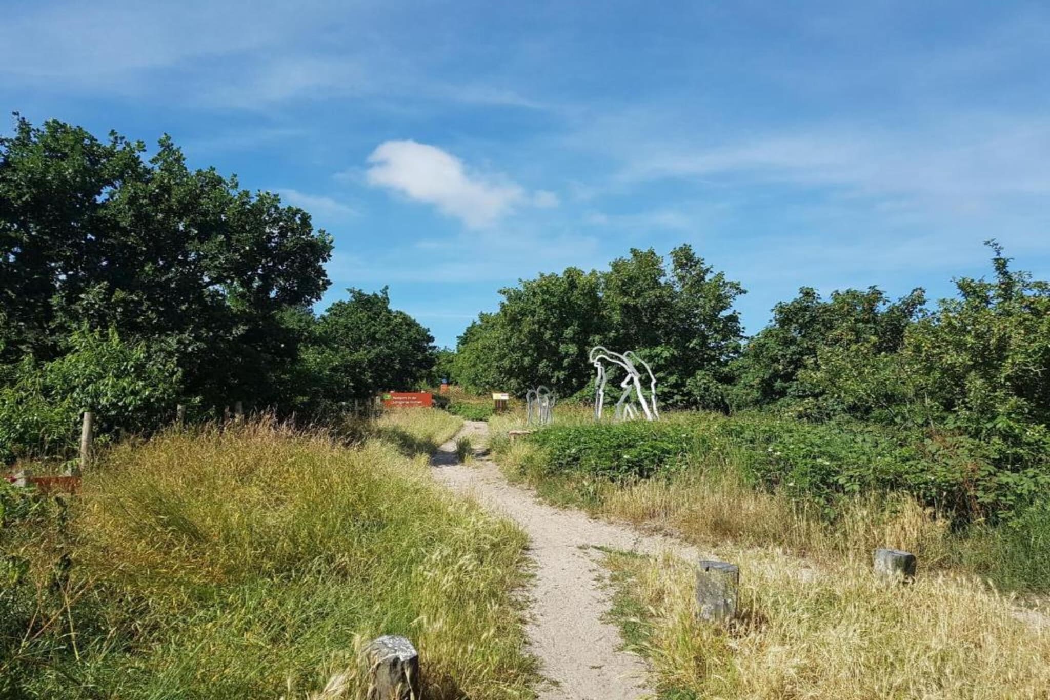 Fancy-Gebieden zomer 20km