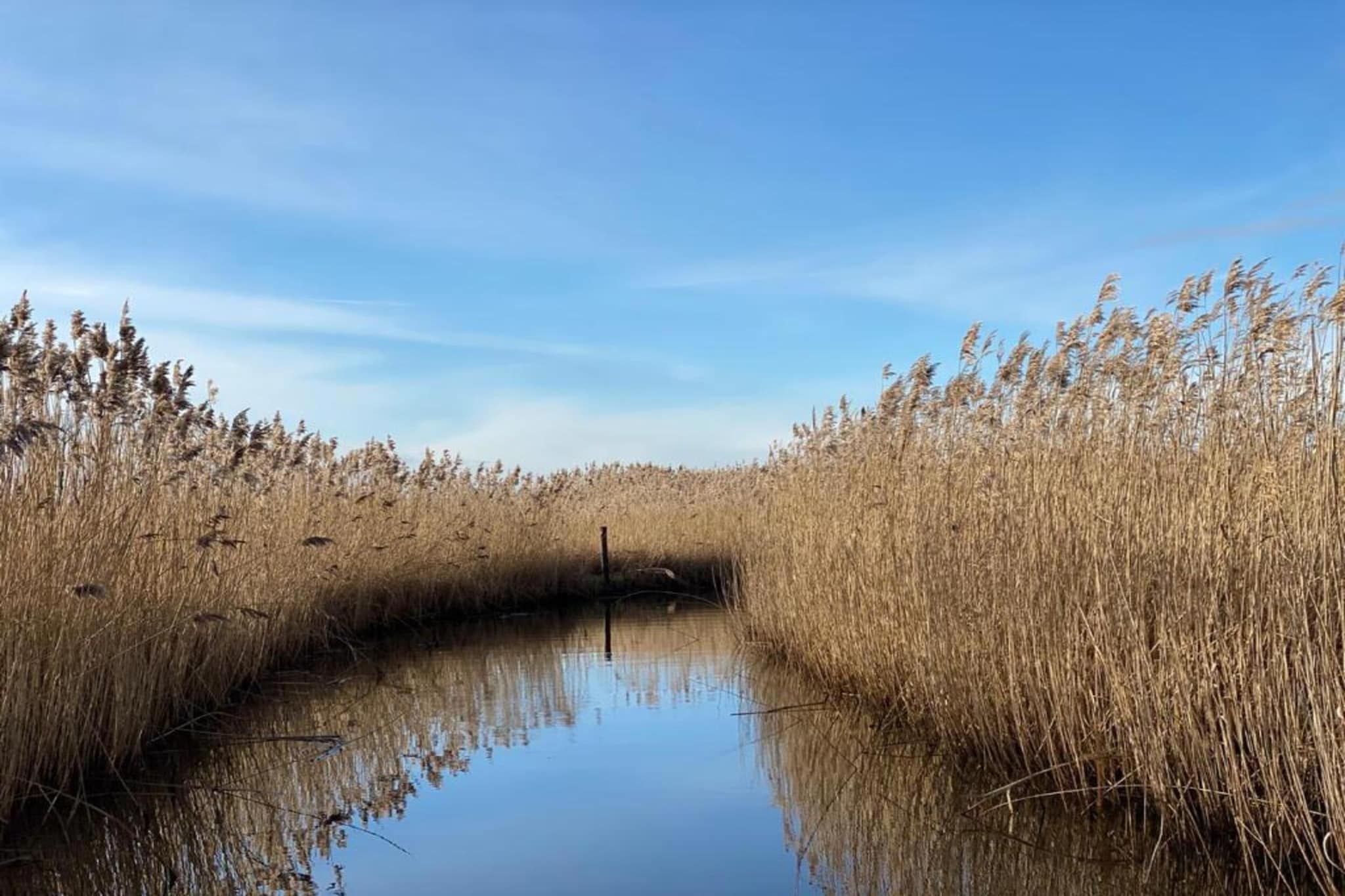 Vakantiepark Giethoorn 4-Gebieden zomer 5km