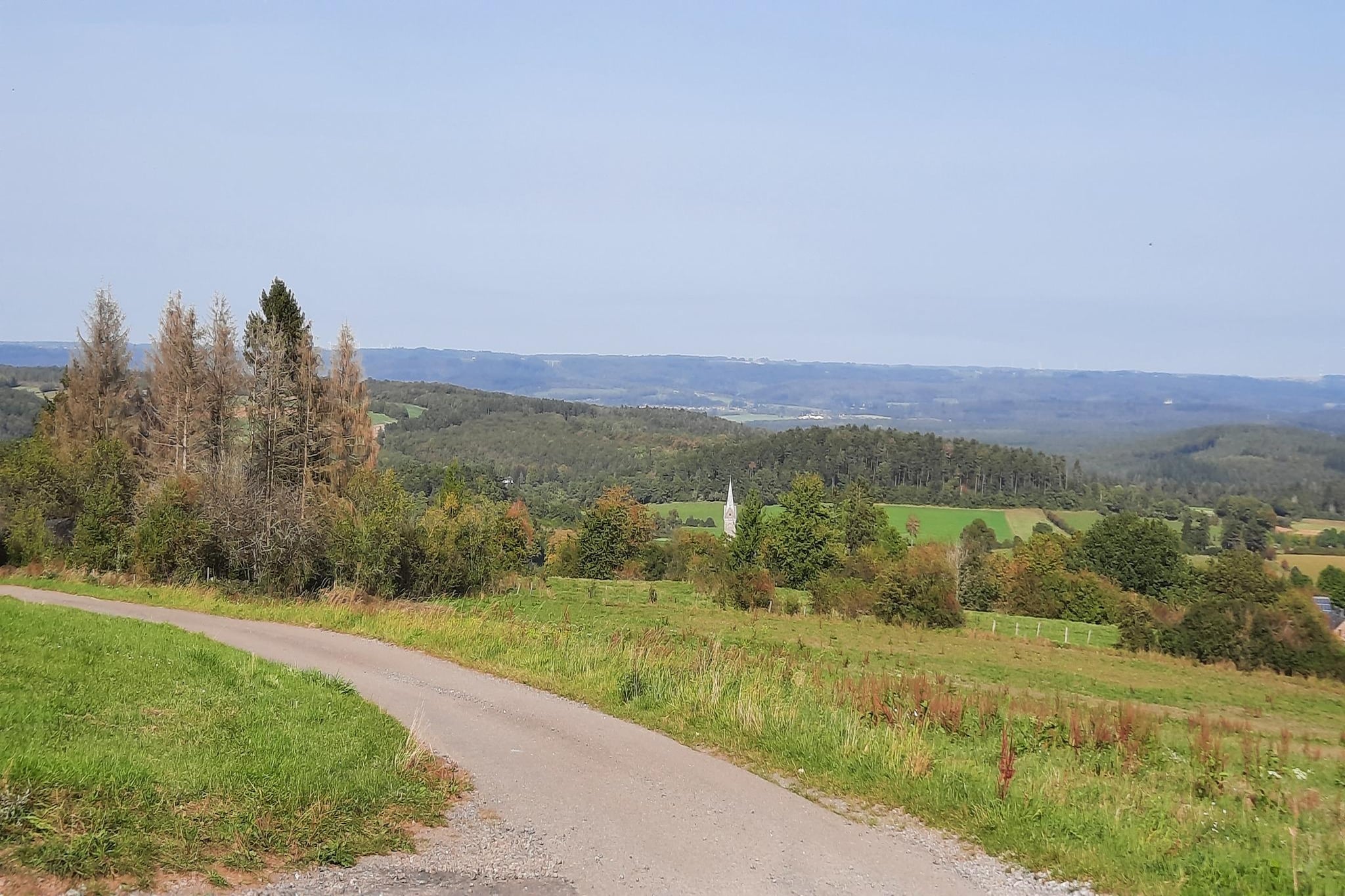 Honnay-Gebieden zomer 1km