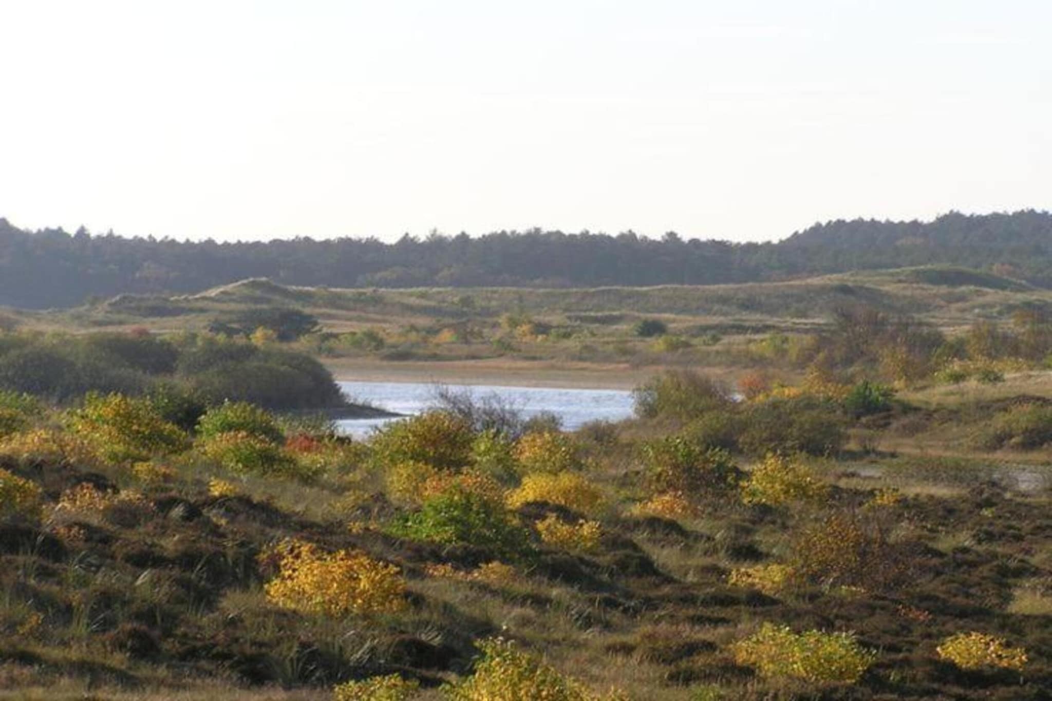 Anna's Place-Areas summer 20km