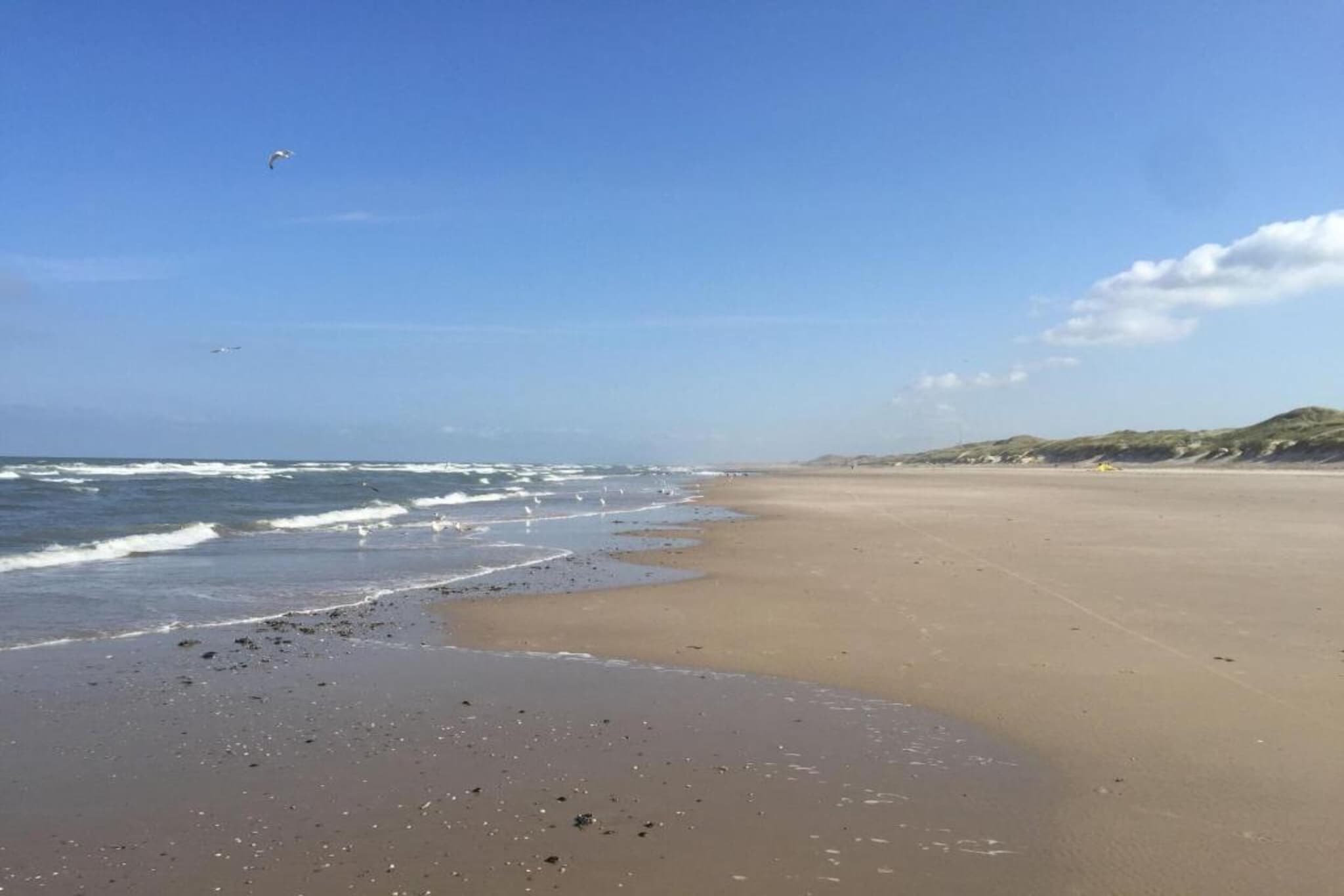 Wilca Hoeve-Gebieden zomer 20km