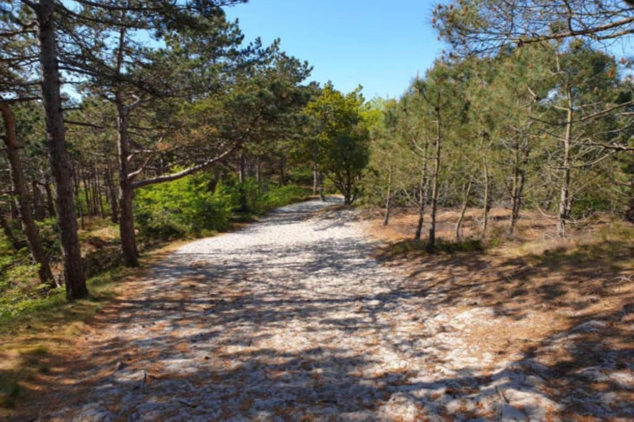 Wilca Hoeve-Gebieden zomer 20km