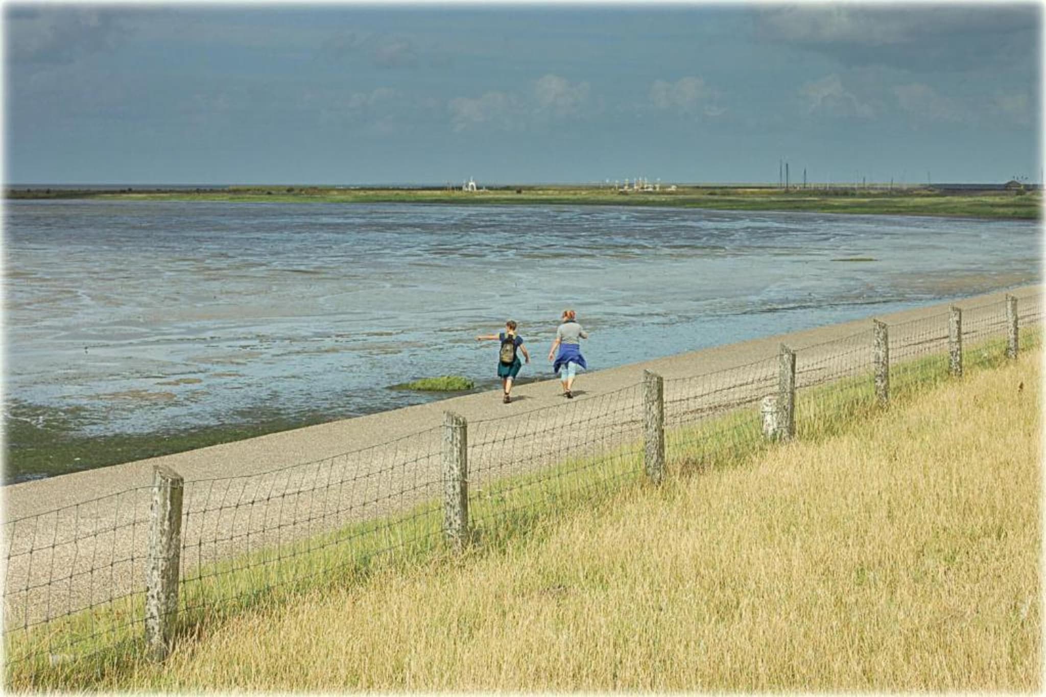 De Grutto-Gebieden zomer 20km