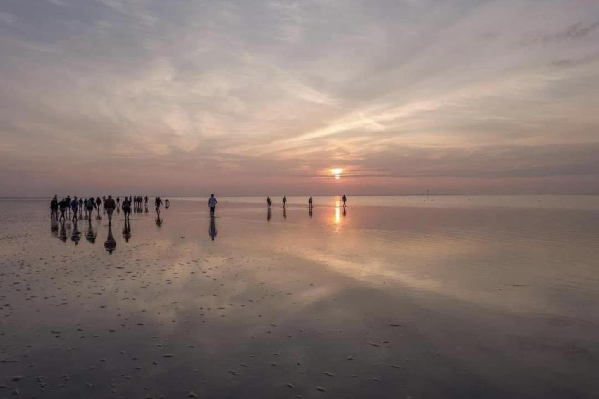 De Grutto-Gebieden zomer 20km