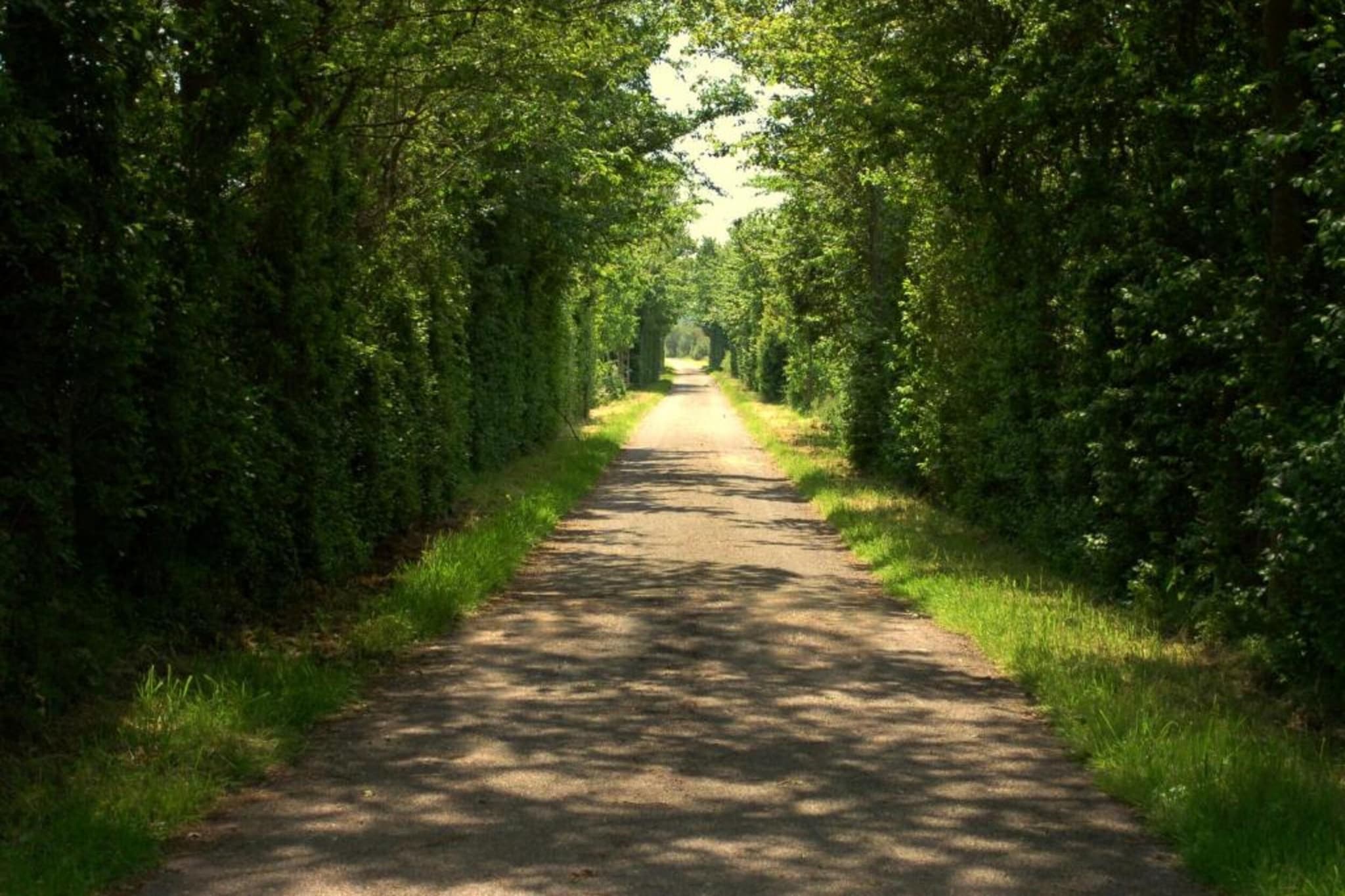 De Grutto-Gebieden zomer 20km