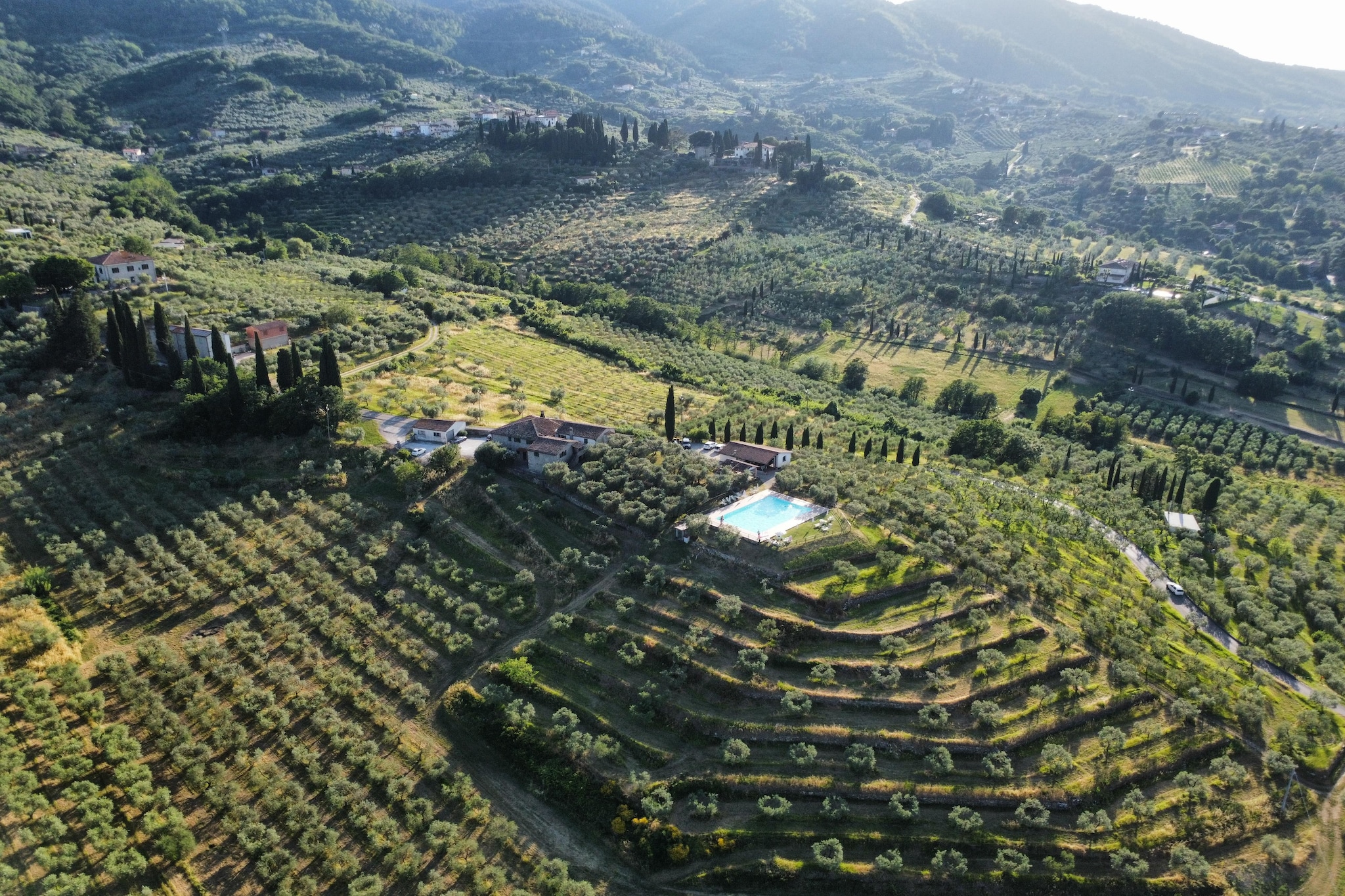 La Casa dei Cinque Olivi - Gebieden zomer 20km