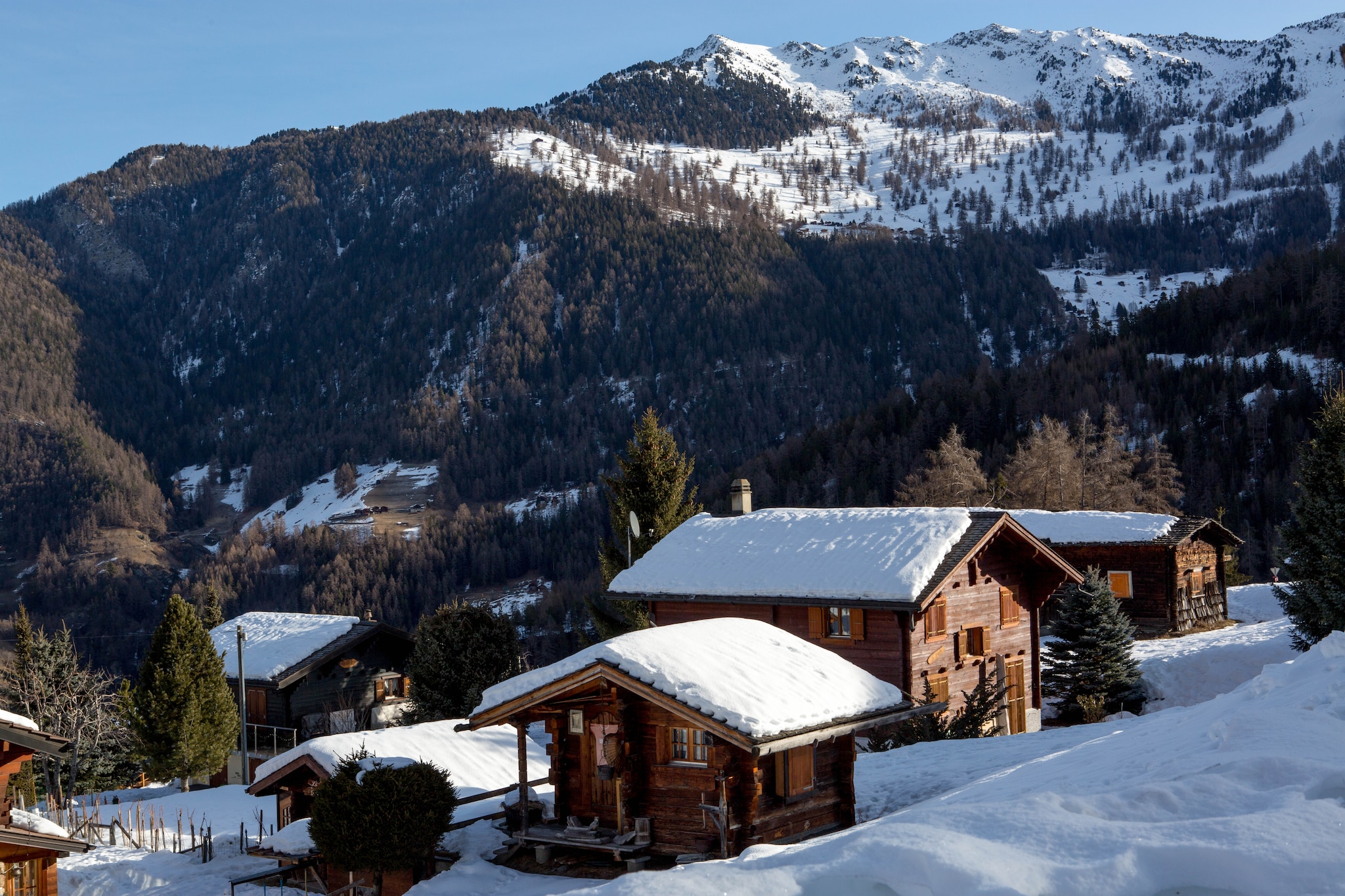 Apartment Ariana-Gebiet Winter 1 km