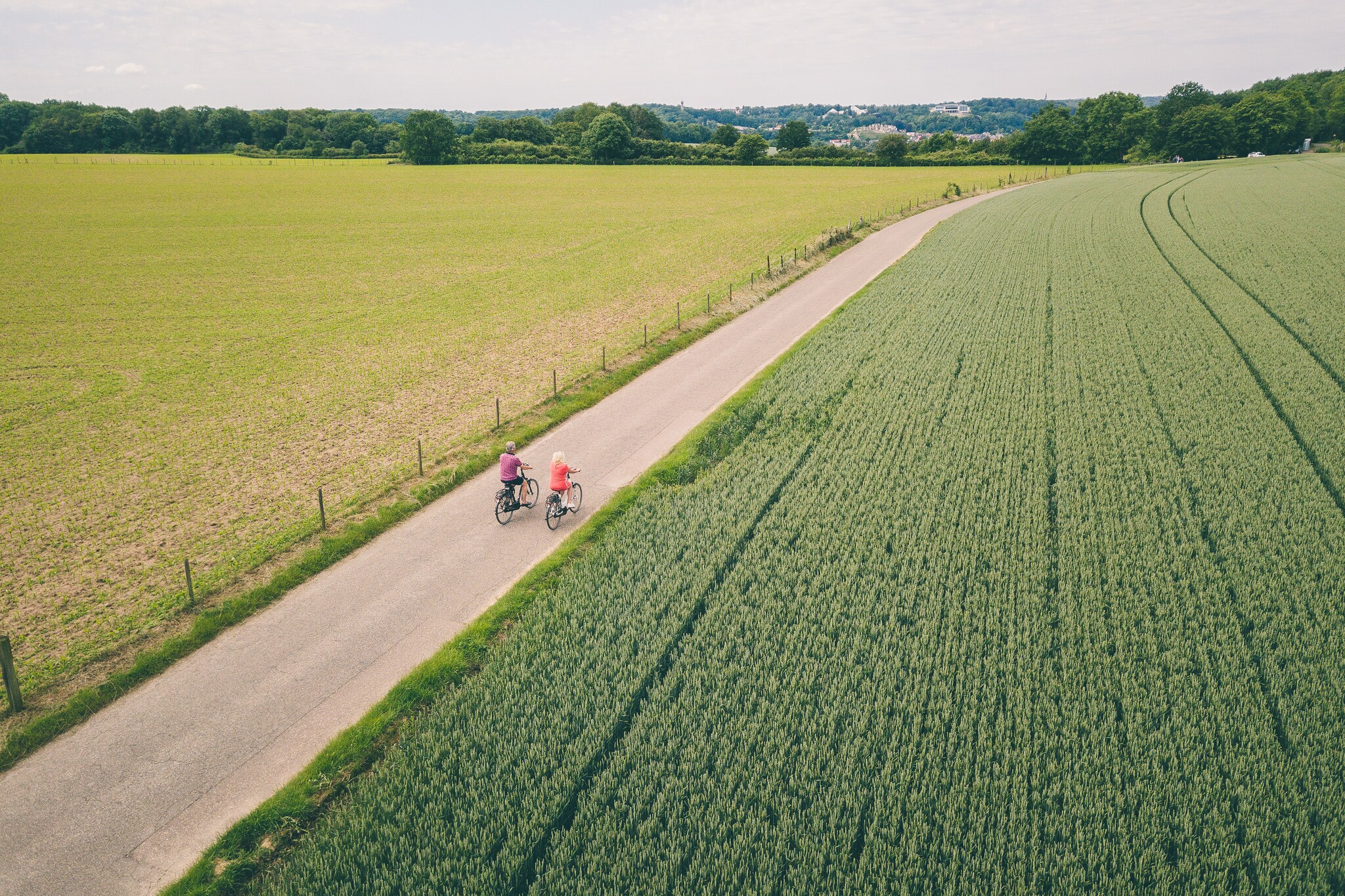 Bungalowpark Schin op Geul 3-Gebieden zomer 20km