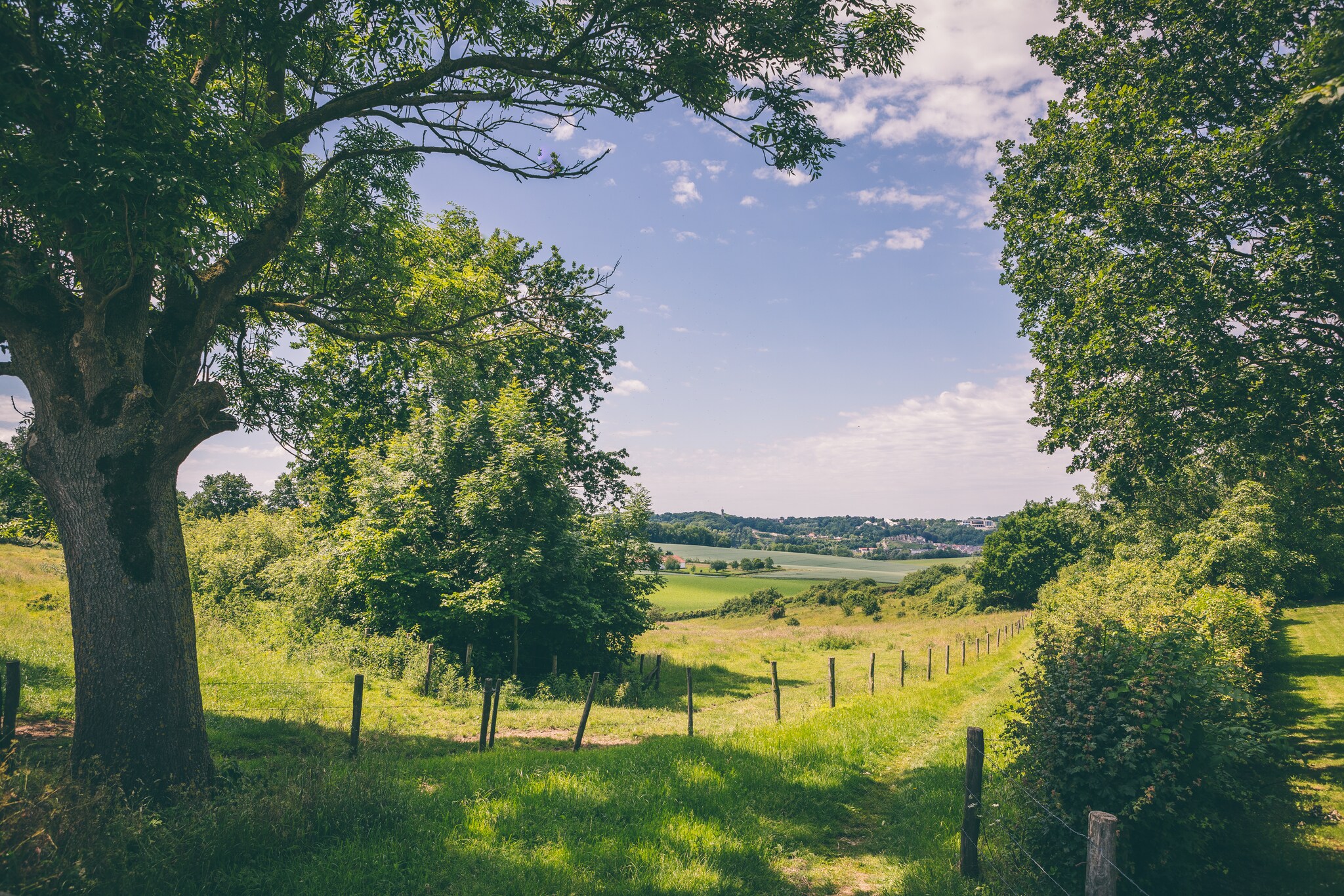 Bungalowpark Schin op Geul 3-Gebieden zomer 5km