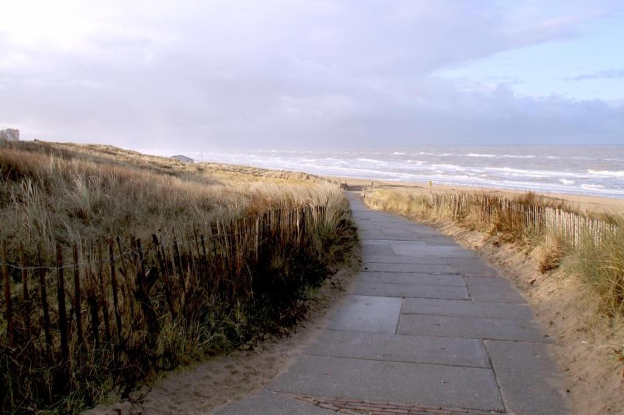 Zeearend Boulevard-Gebieden zomer 20km