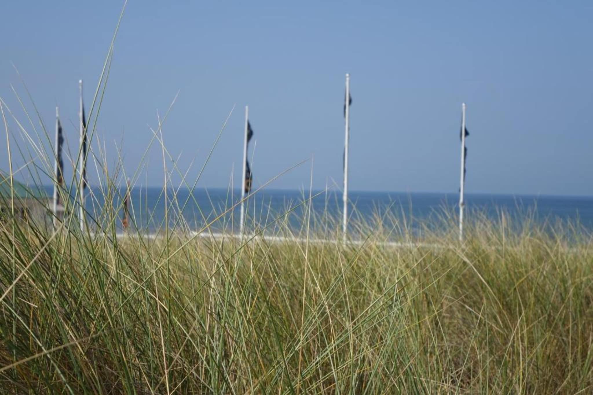 Zeearend Boulevard-Gebieden zomer 20km