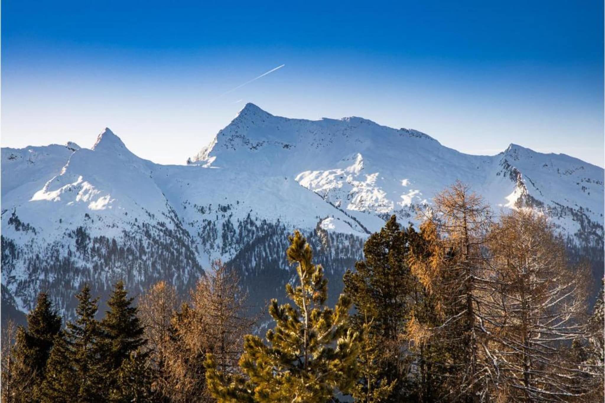 Alette-Gebied winter 5km