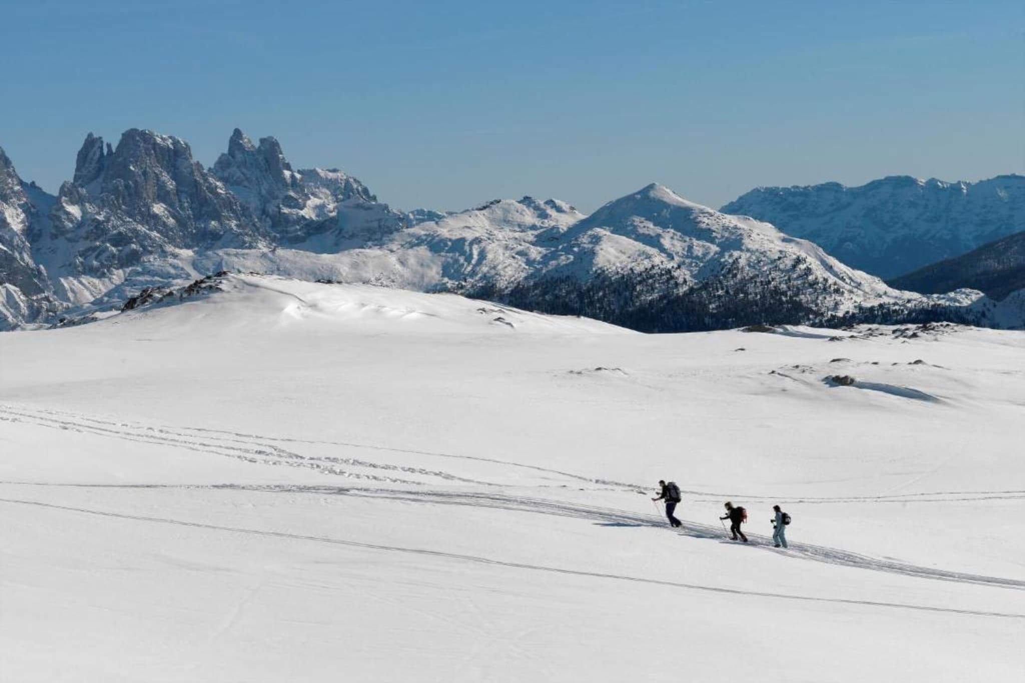 Alette-Gebied winter 5km