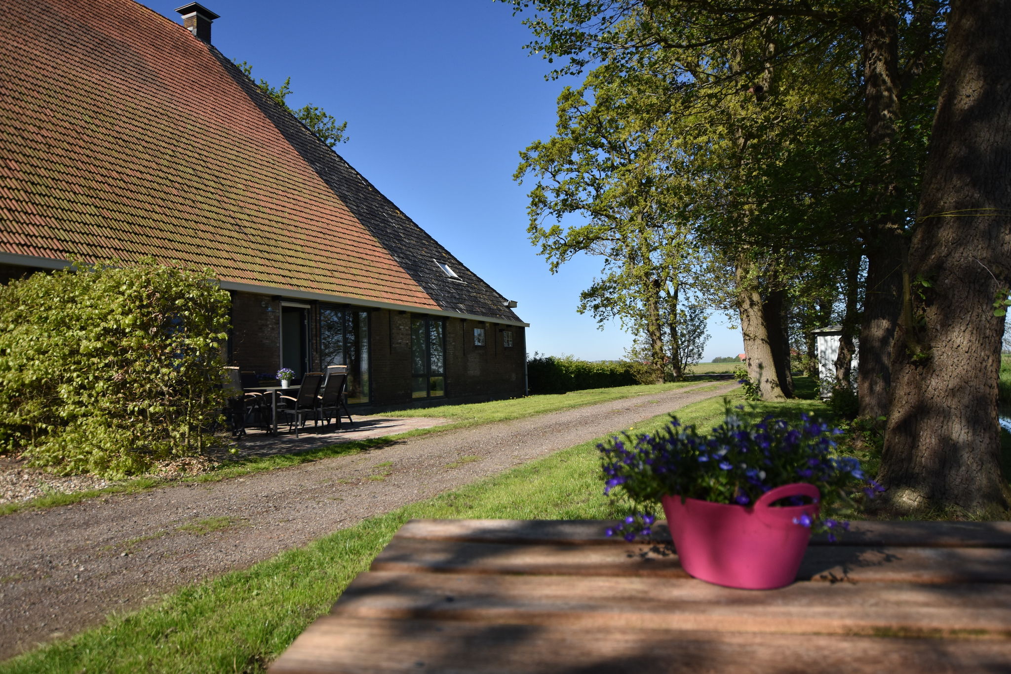 Landelijke vakantiewoning in het Friese Workum met een heerlijk zonnig terras