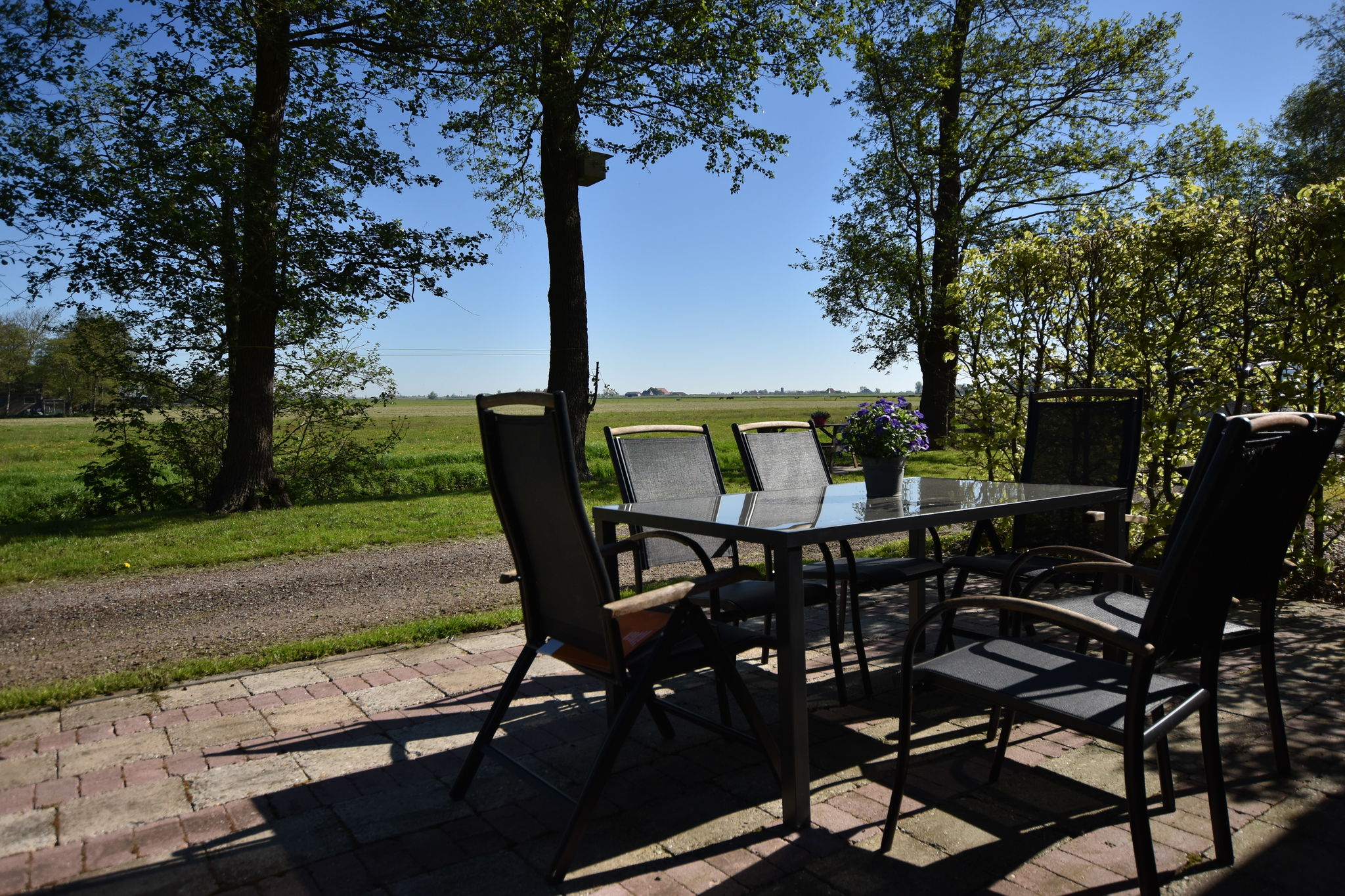 Landelijke vakantiewoning in het Friese Workum met een heerlijk zonnig terras