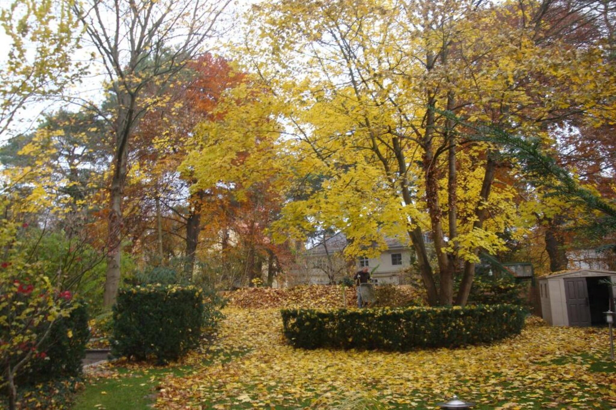 Eifelpark Kronenburger See 5-Zones d'été à 20 km