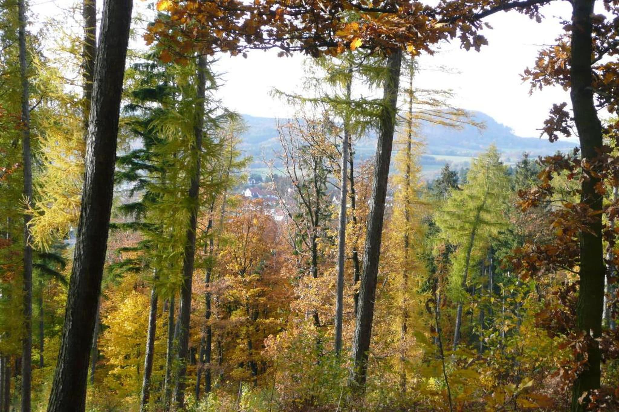 Am Sandberg-Gebiete Sommer 20 km