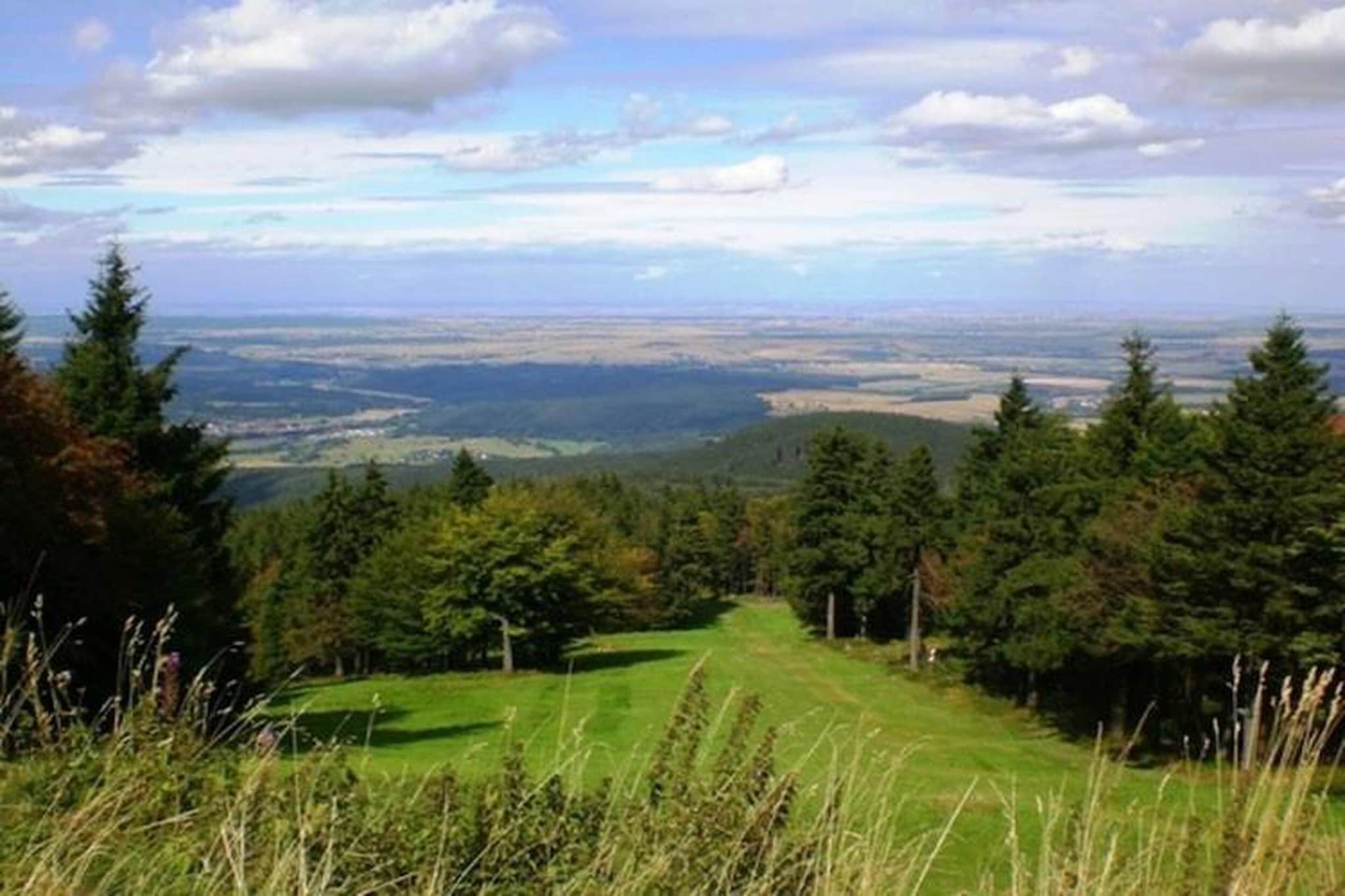 Am Sandberg-Gebiete Sommer 20 km