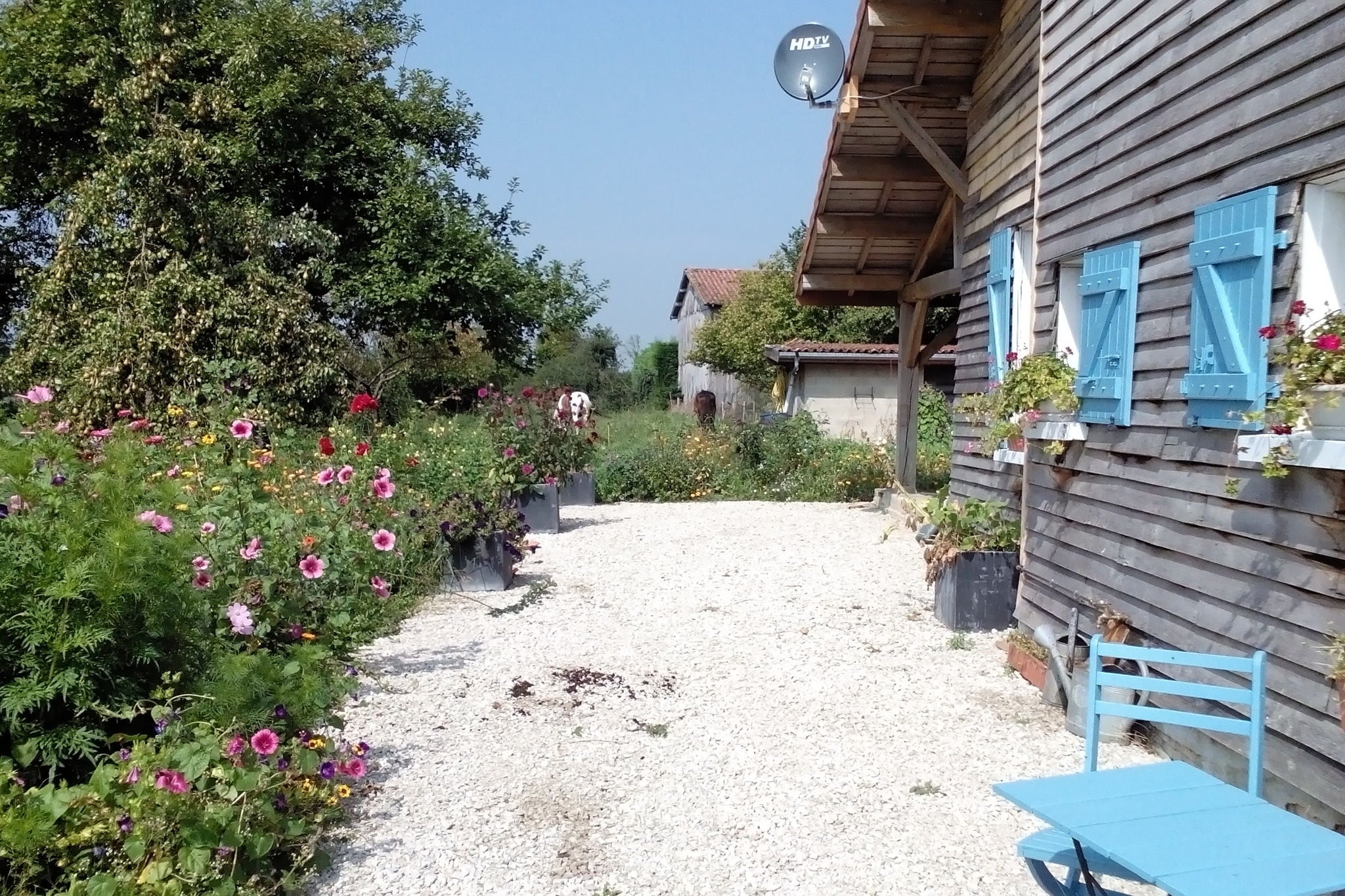 Gemütliches Ferienhaus in Droyes/Nordfrankreich mit Terrasse