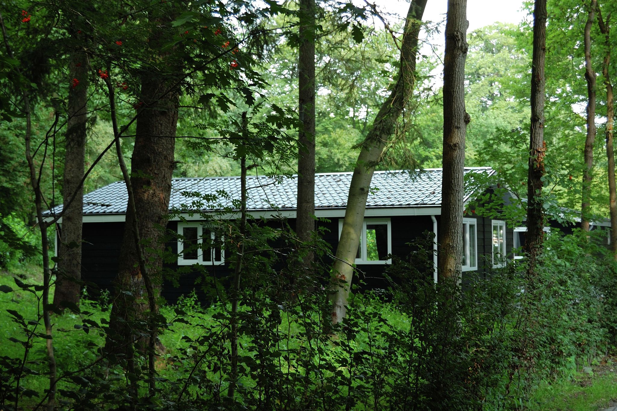 Mooi huis omringd door bos